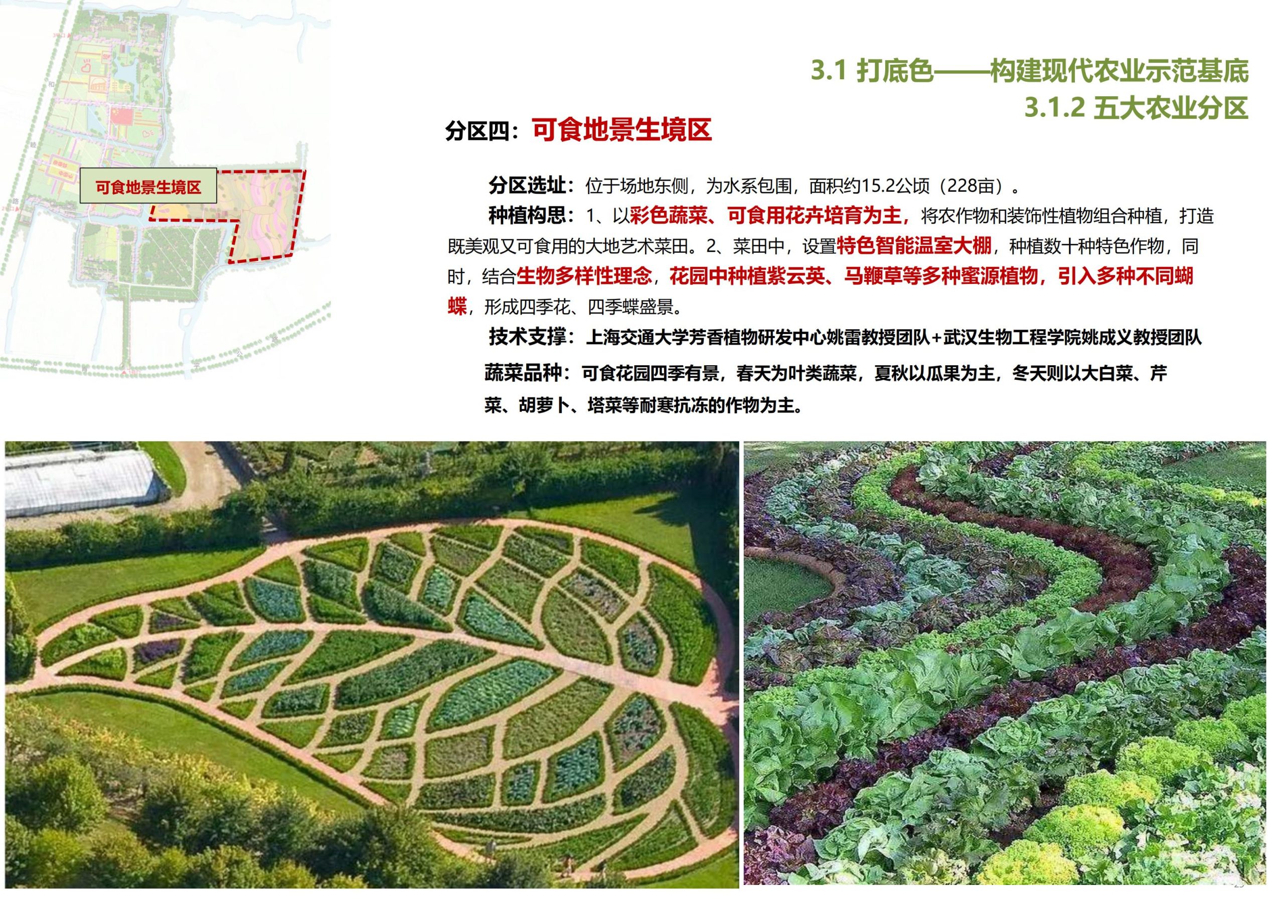 图片[30]-【上海】青浦区和睦村田园综合体策划方案 - 由甫网-由甫网