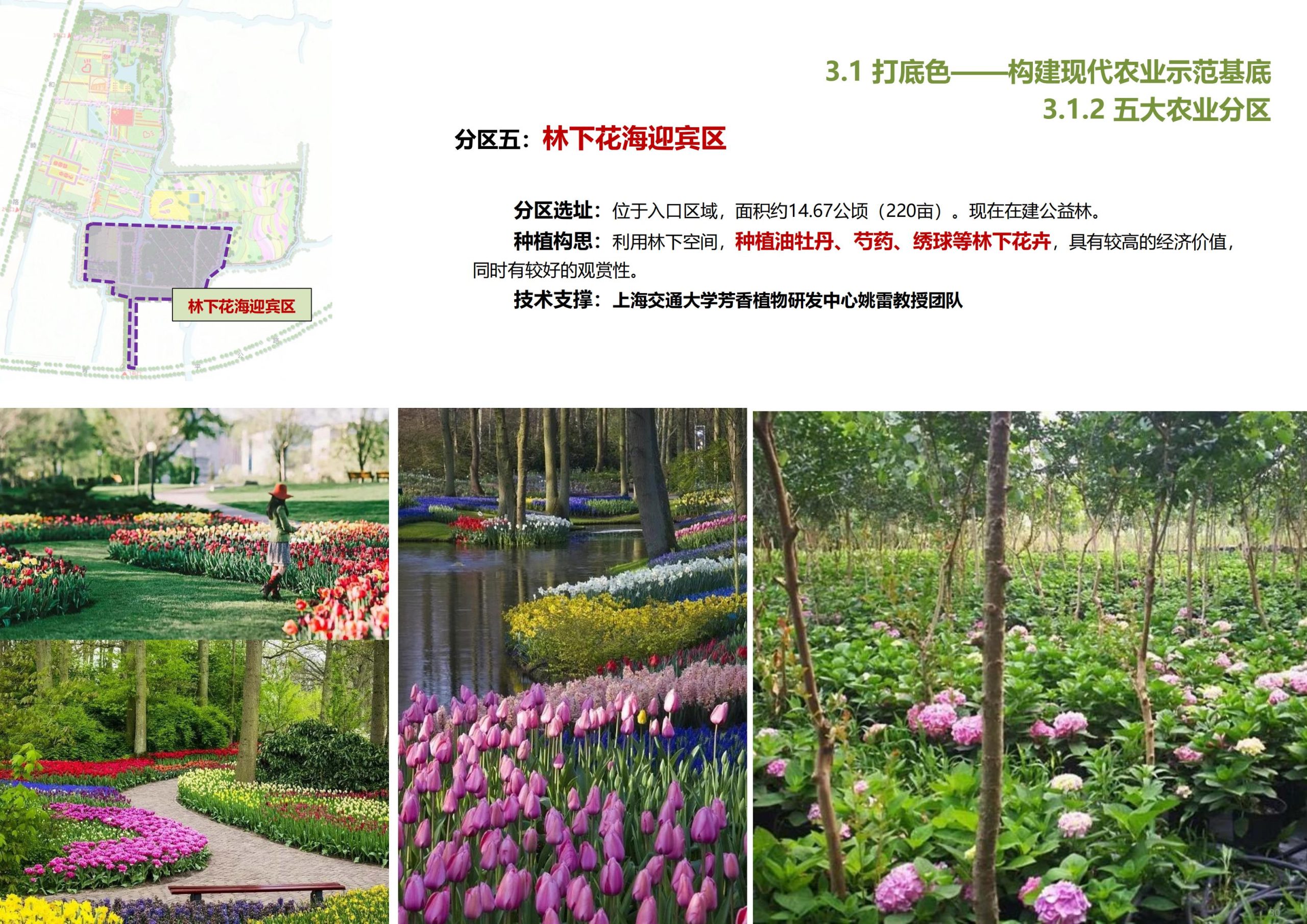 图片[31]-【上海】青浦区和睦村田园综合体策划方案 - 由甫网-由甫网