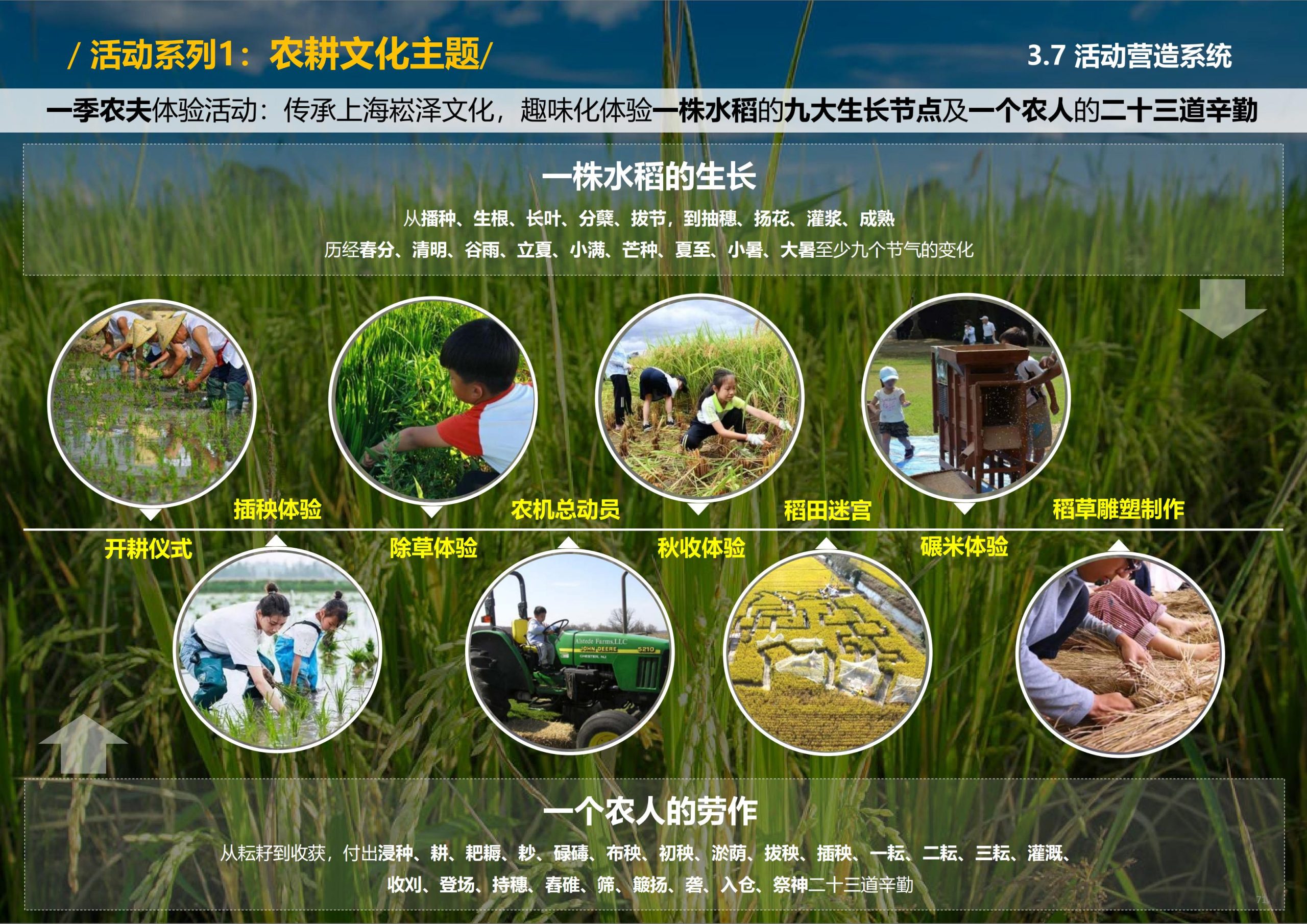 图片[72]-【上海】青浦区和睦村田园综合体策划方案 - 由甫网-由甫网