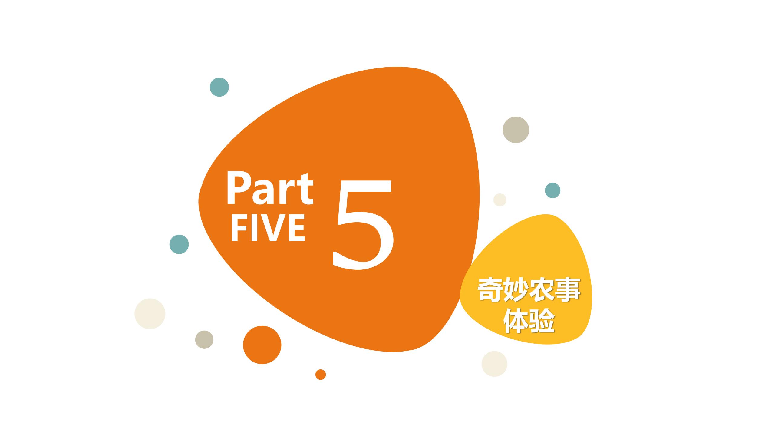 图片[46]-【湖南】衡南田园综合体村长的奇妙之旅产品打造方案 - 由甫网-由甫网