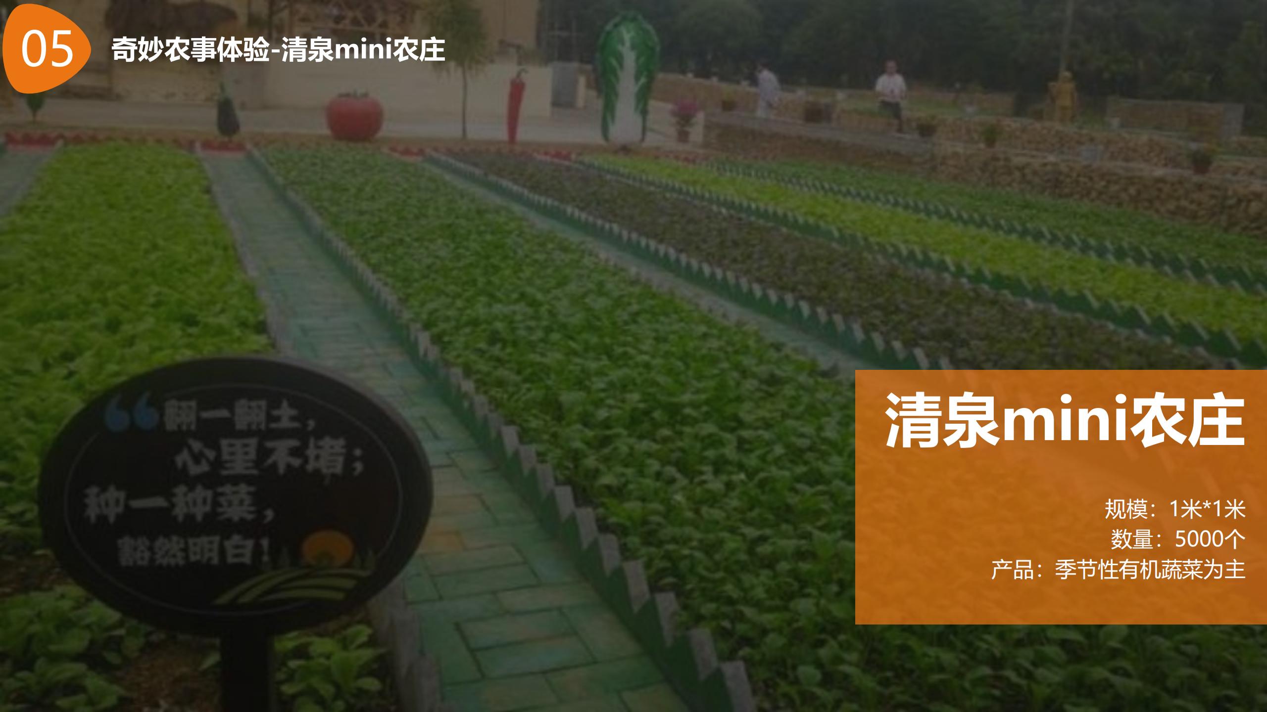 图片[48]-【湖南】衡南田园综合体村长的奇妙之旅产品打造方案 - 由甫网-由甫网