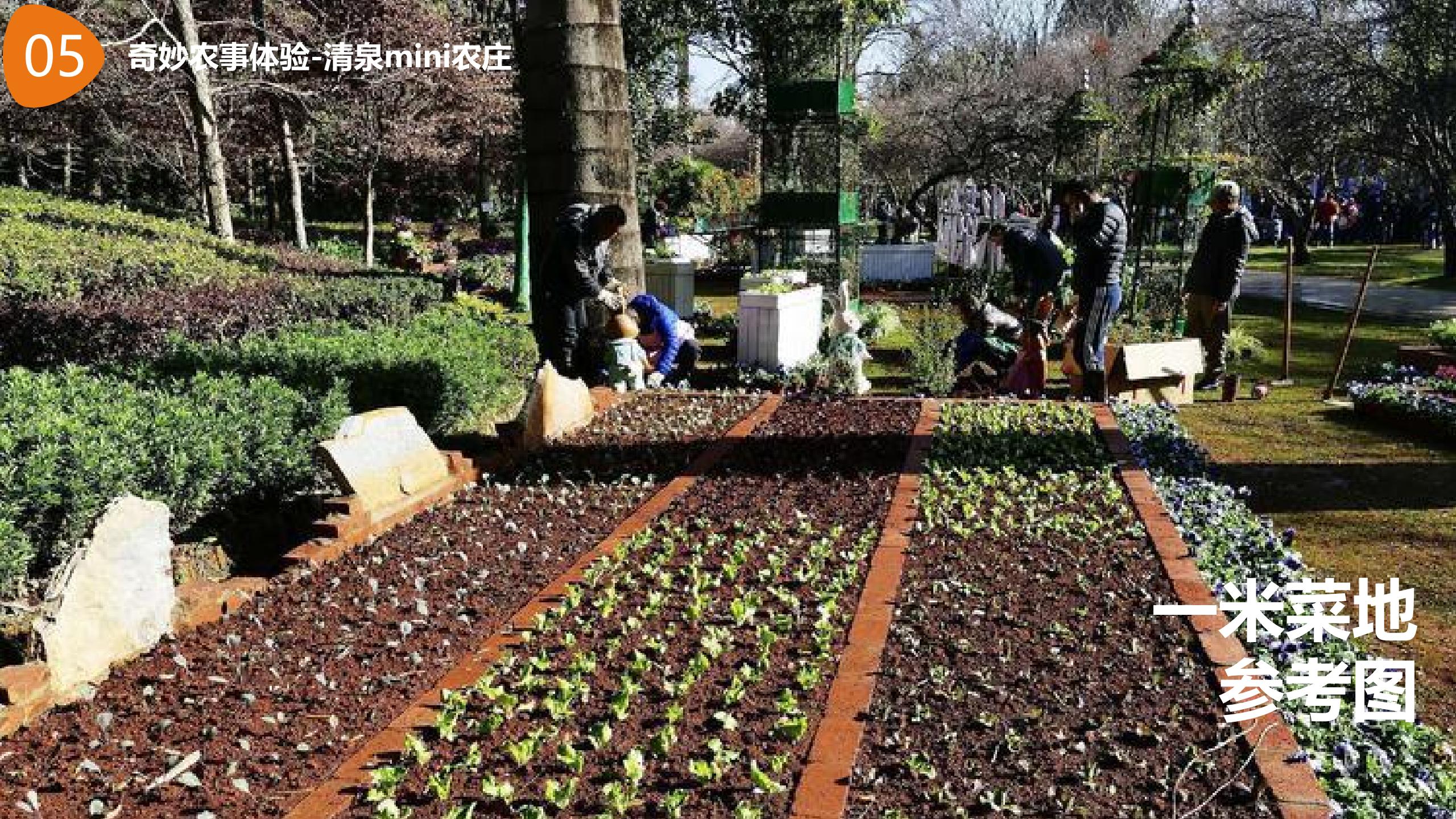 图片[49]-【湖南】衡南田园综合体村长的奇妙之旅产品打造方案 - 由甫网-由甫网