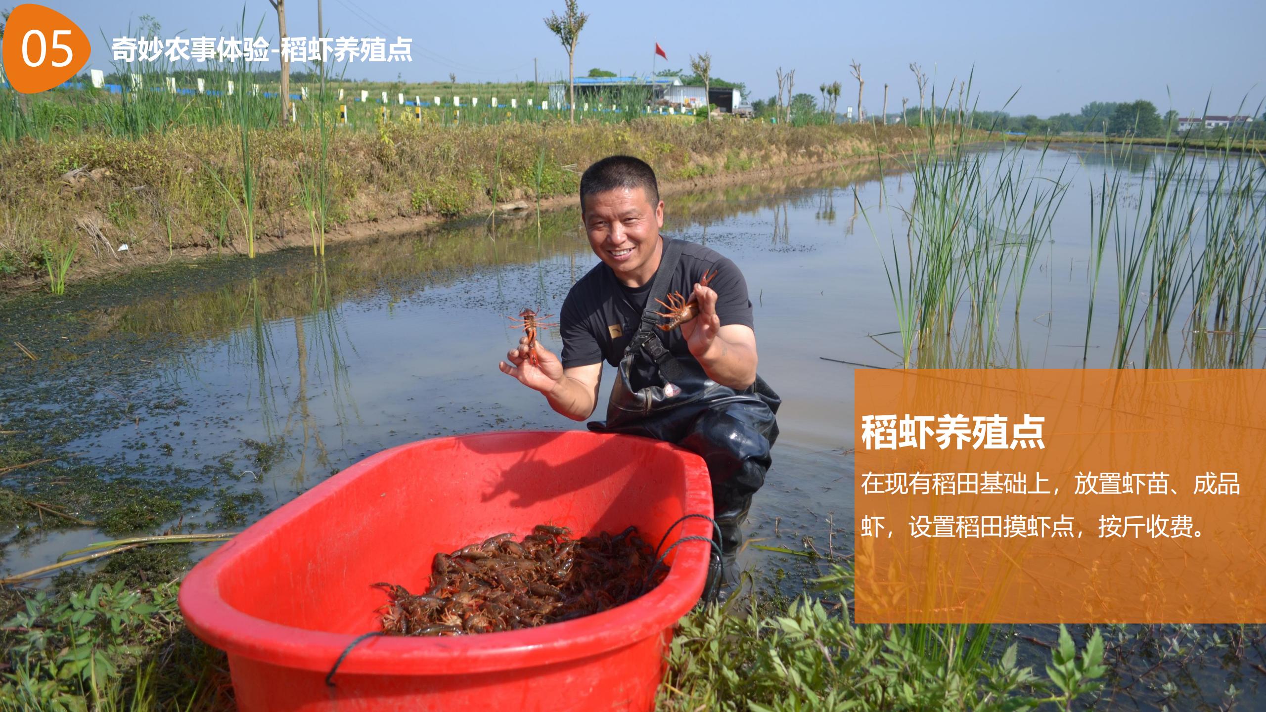 图片[51]-【湖南】衡南田园综合体村长的奇妙之旅产品打造方案 - 由甫网-由甫网