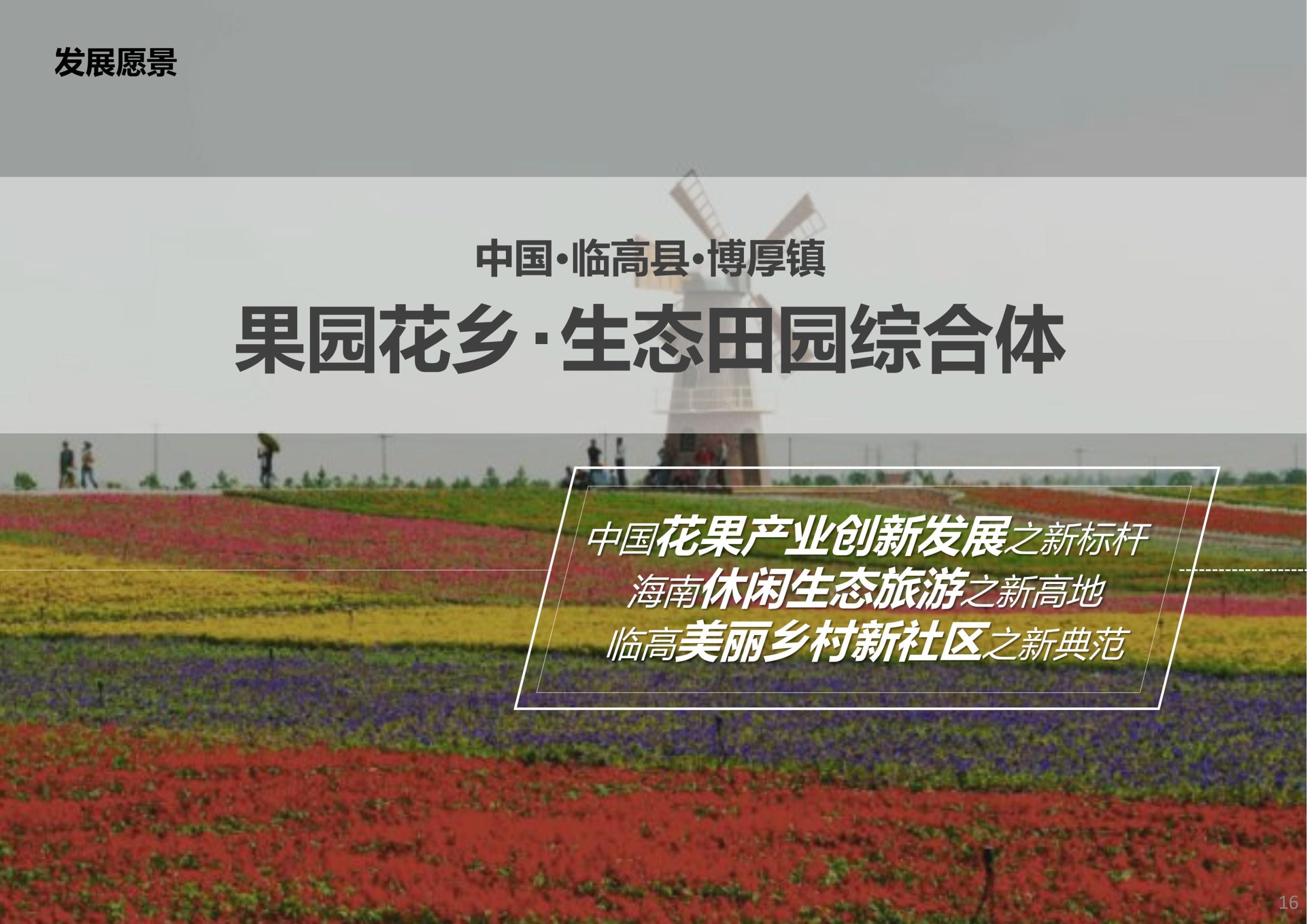 图片[16]-临高县博厚镇田园综合体策划方案 - 由甫网-由甫网