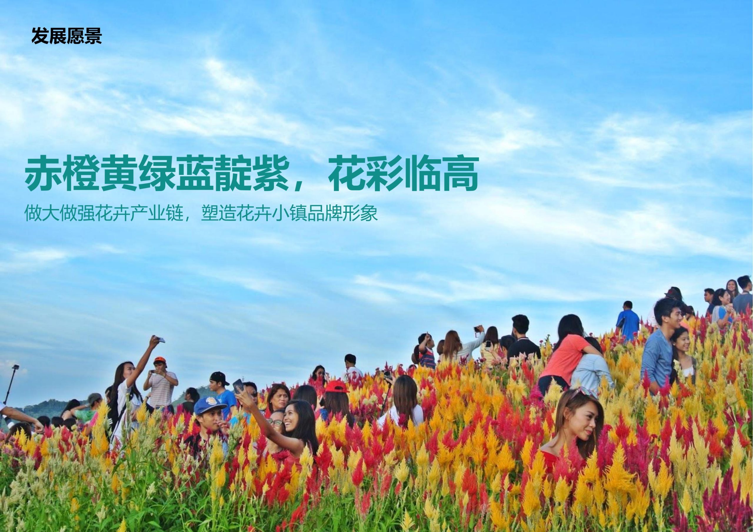 图片[17]-临高县博厚镇田园综合体策划方案 - 由甫网-由甫网