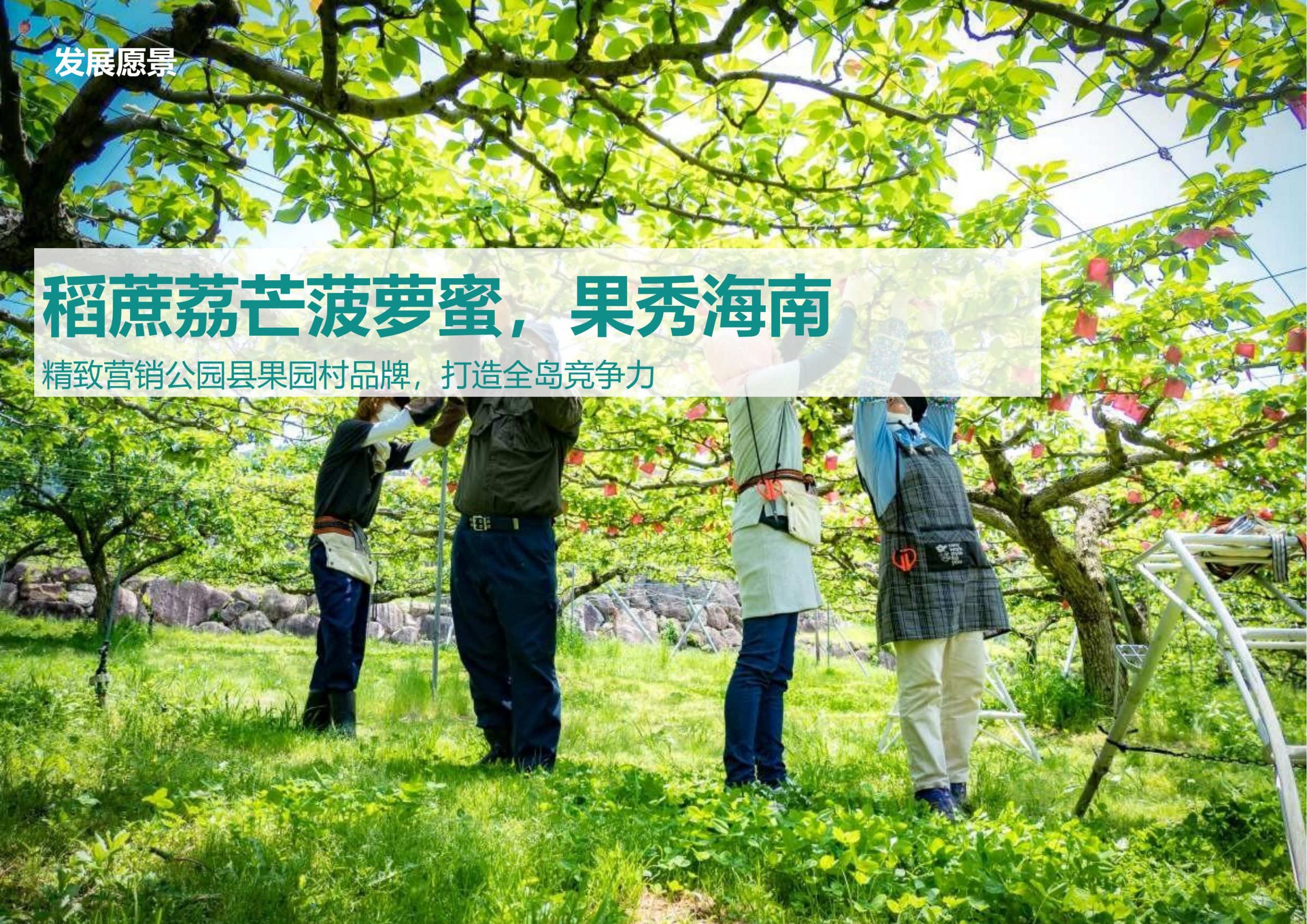 图片[18]-临高县博厚镇田园综合体策划方案 - 由甫网-由甫网