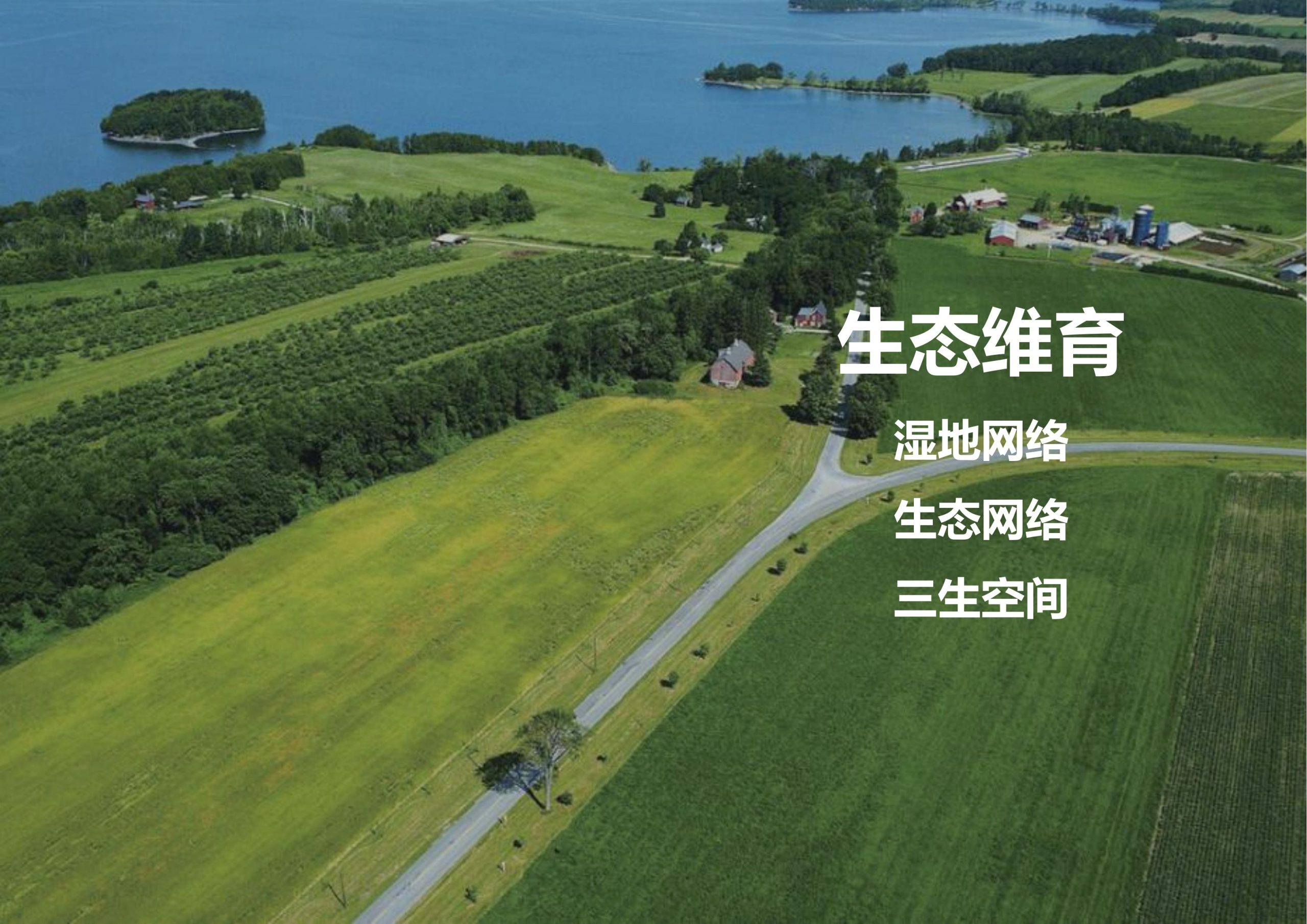 图片[25]-临高县博厚镇田园综合体策划方案 - 由甫网-由甫网