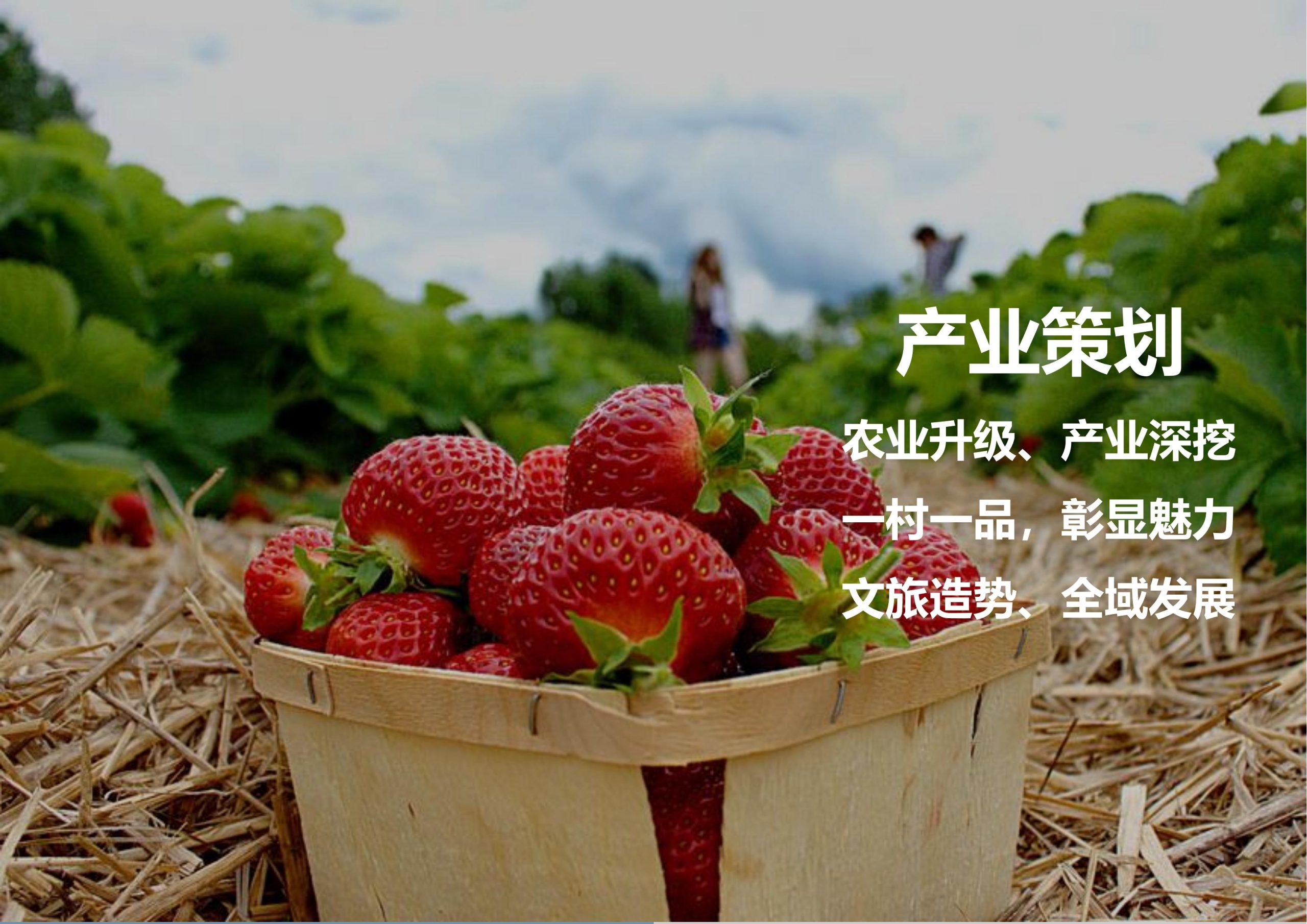 图片[30]-临高县博厚镇田园综合体策划方案 - 由甫网-由甫网