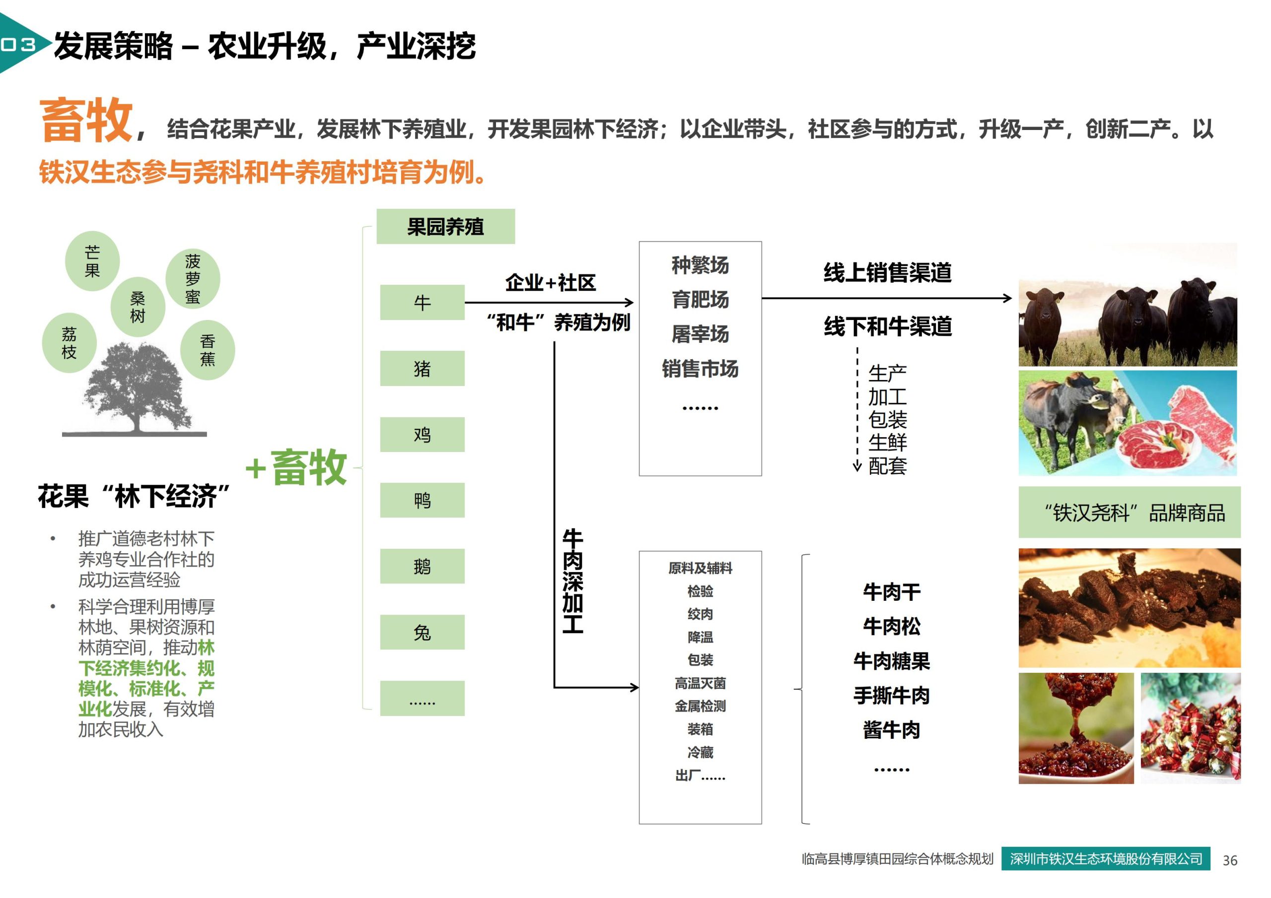 图片[36]-临高县博厚镇田园综合体策划方案 - 由甫网-由甫网