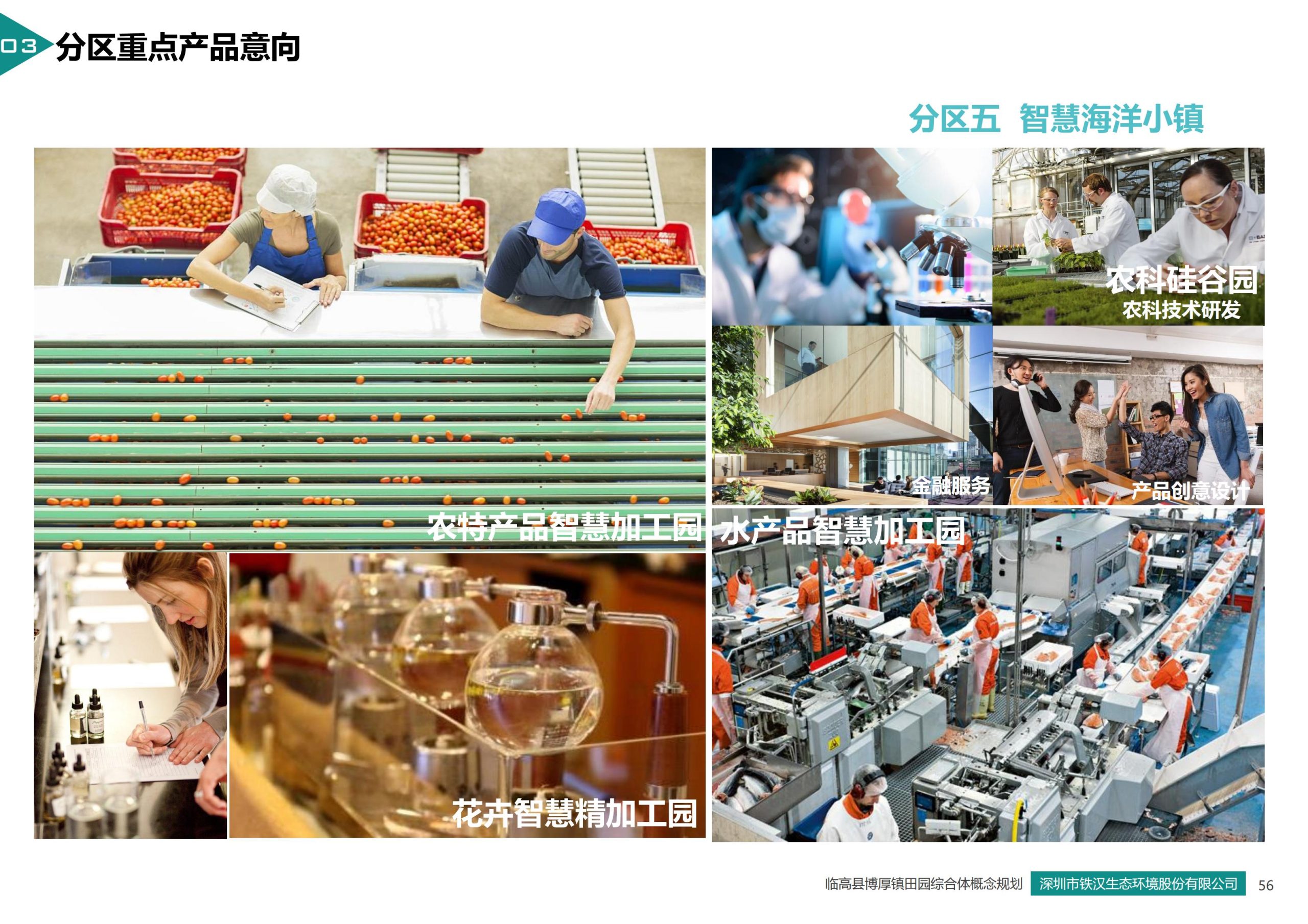 图片[56]-临高县博厚镇田园综合体策划方案 - 由甫网-由甫网