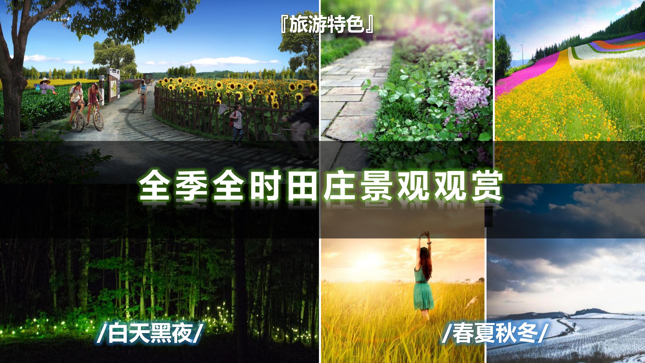 图片[54]-昌平流村田园茂项目总体策划方案 - 由甫网-由甫网