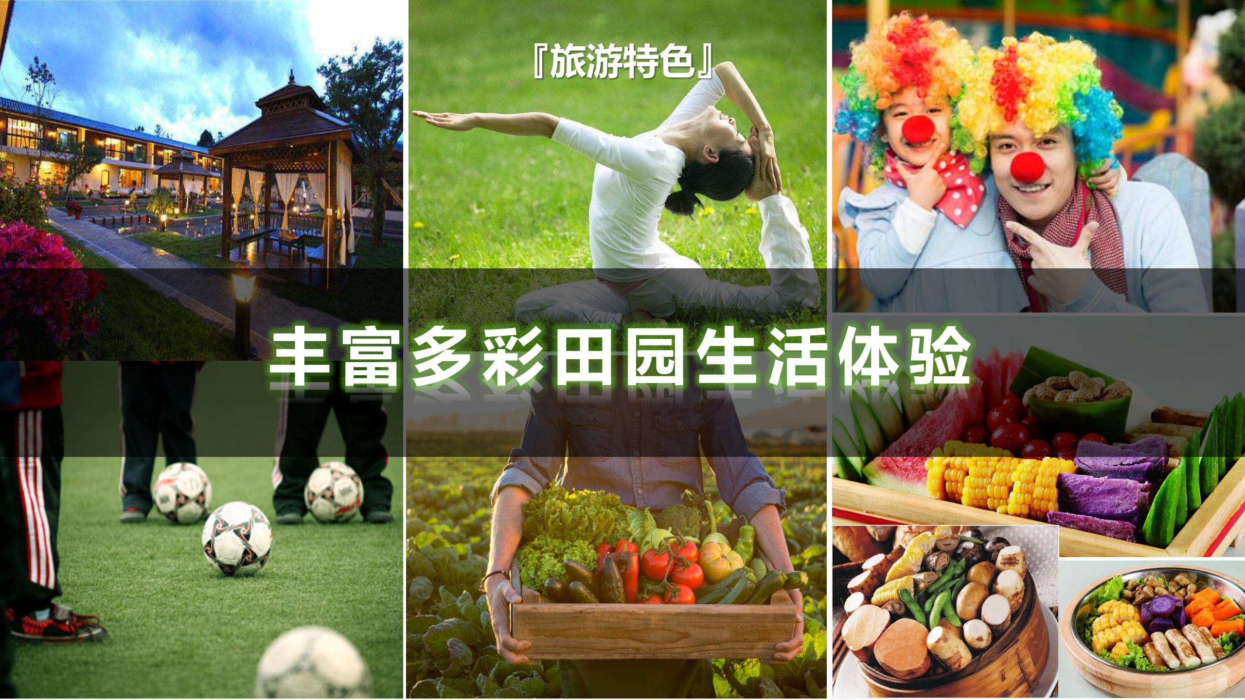 图片[56]-昌平流村田园茂项目总体策划方案 - 由甫网-由甫网