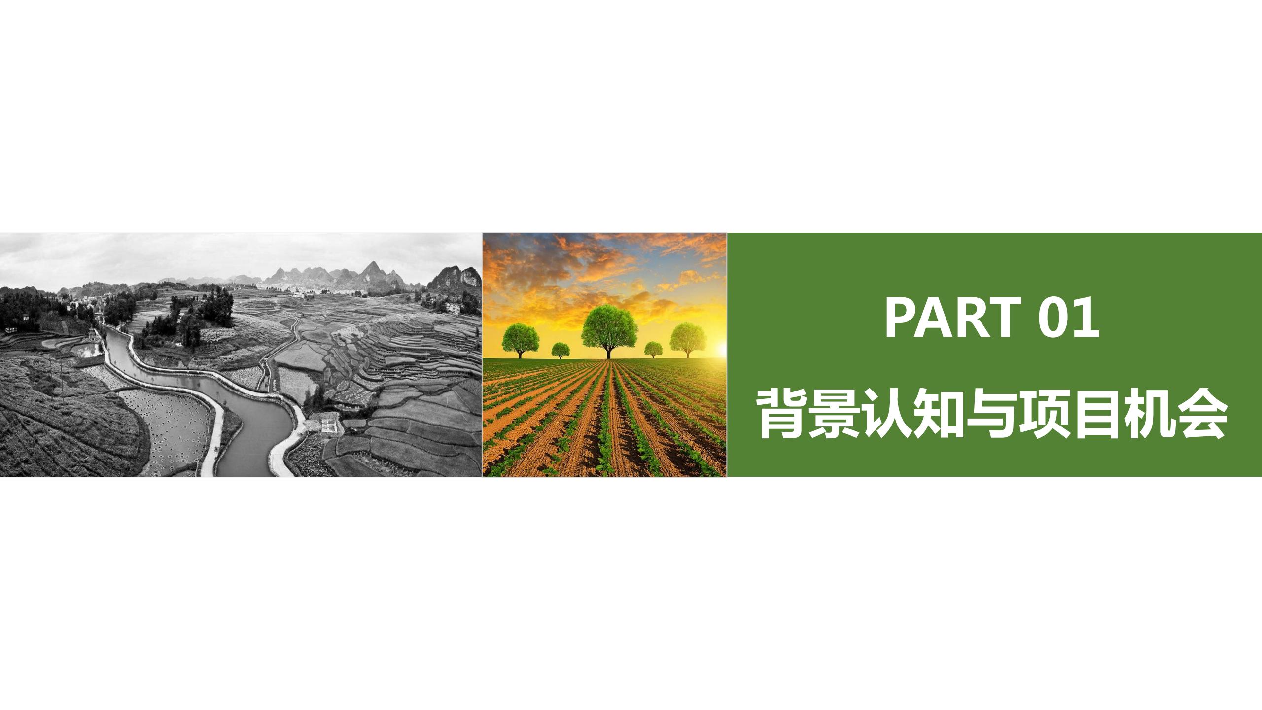 图片[5]-昌平流村田园茂项目总体策划方案 - 由甫网-由甫网