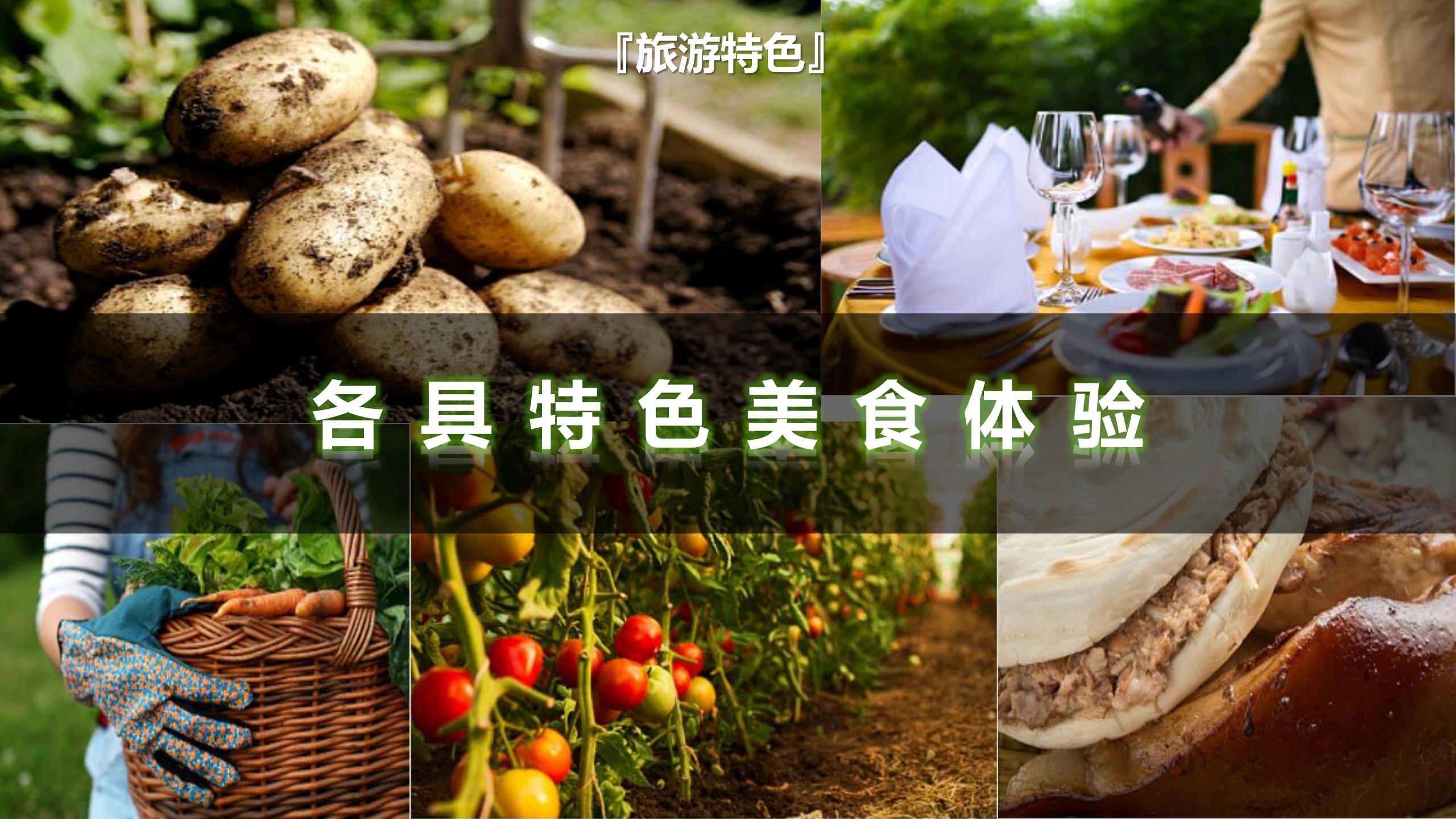 图片[52]-昌平流村田园茂项目总体策划方案 - 由甫网-由甫网