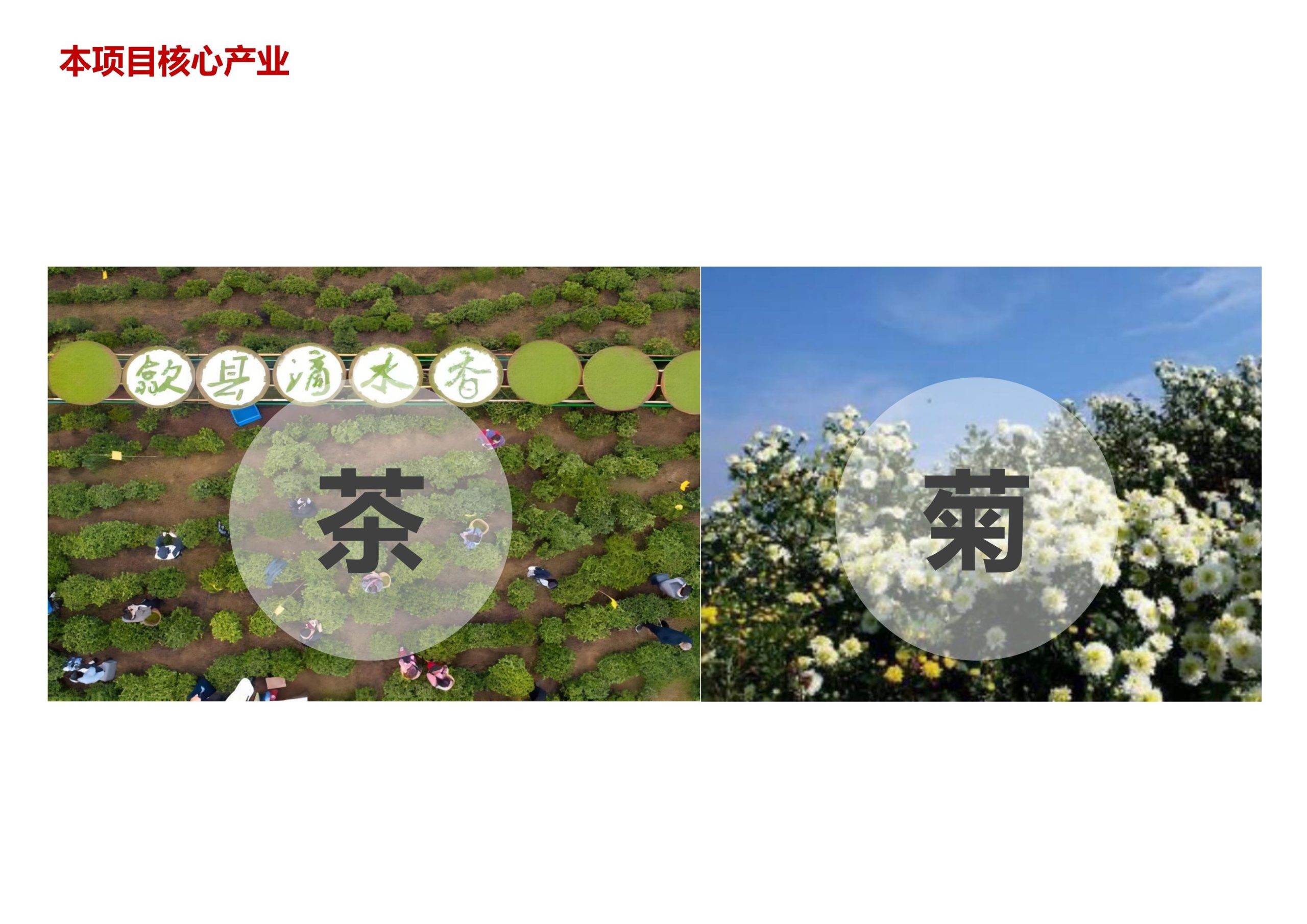 图片[2]-【安徽】歙县蓝田桃源田园综合体建设项目规划设计方案 - 由甫网-由甫网