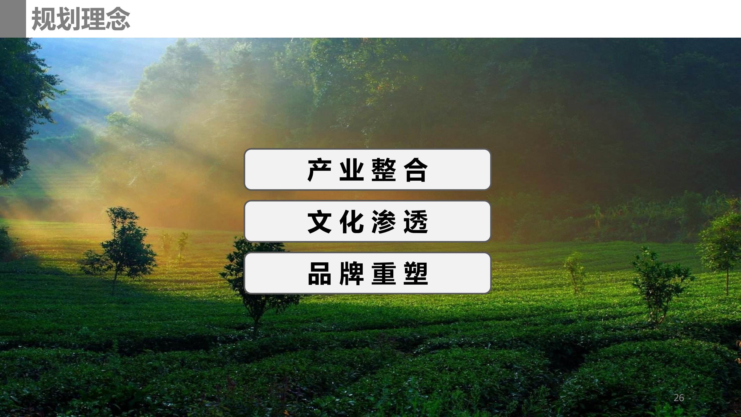 图片[26]-成都市蒲江县成佳镇绿茶之乡田园综合体项目概念规划 - 由甫网-由甫网