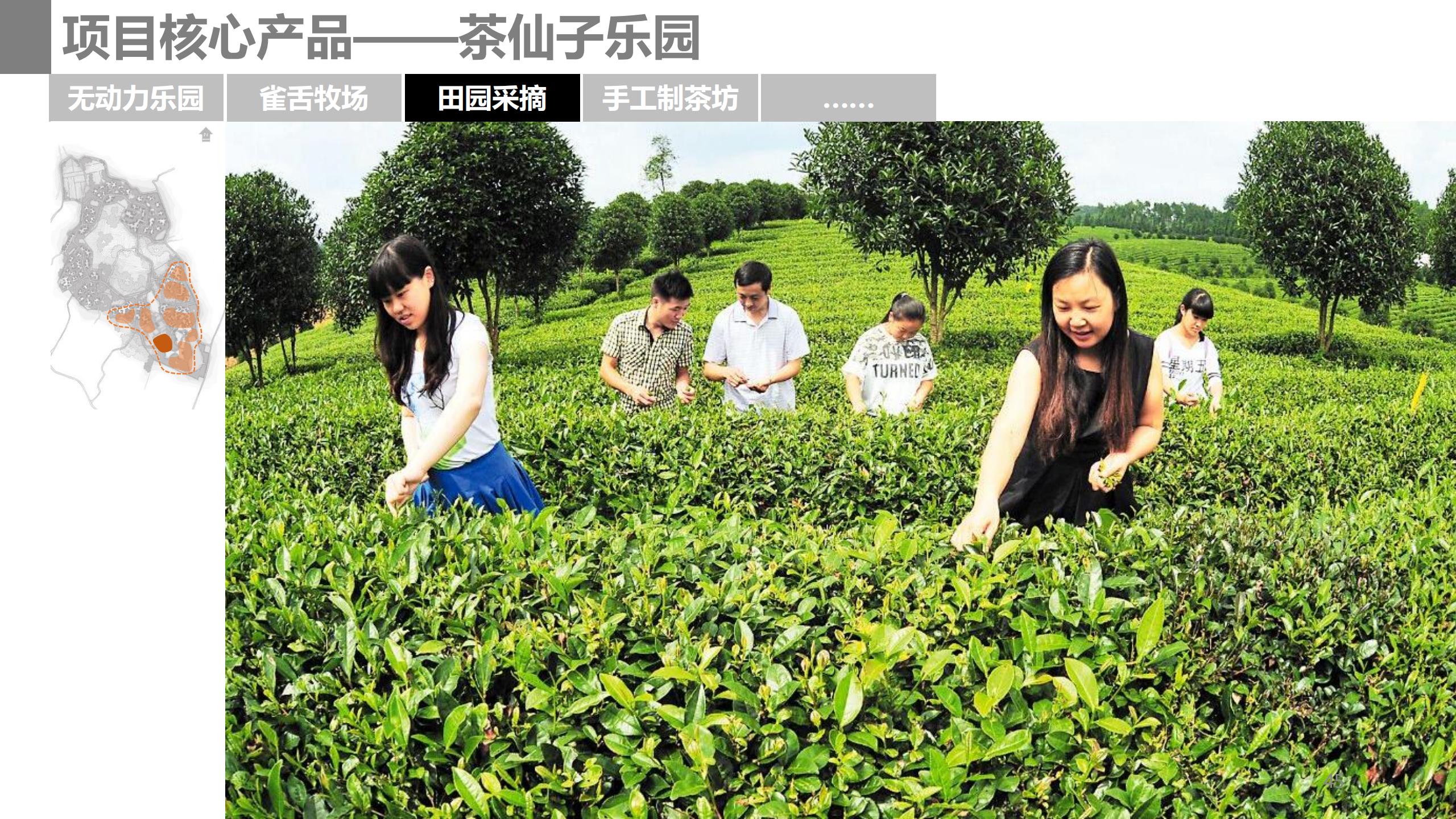 图片[45]-成都市蒲江县成佳镇绿茶之乡田园综合体项目概念规划 - 由甫网-由甫网