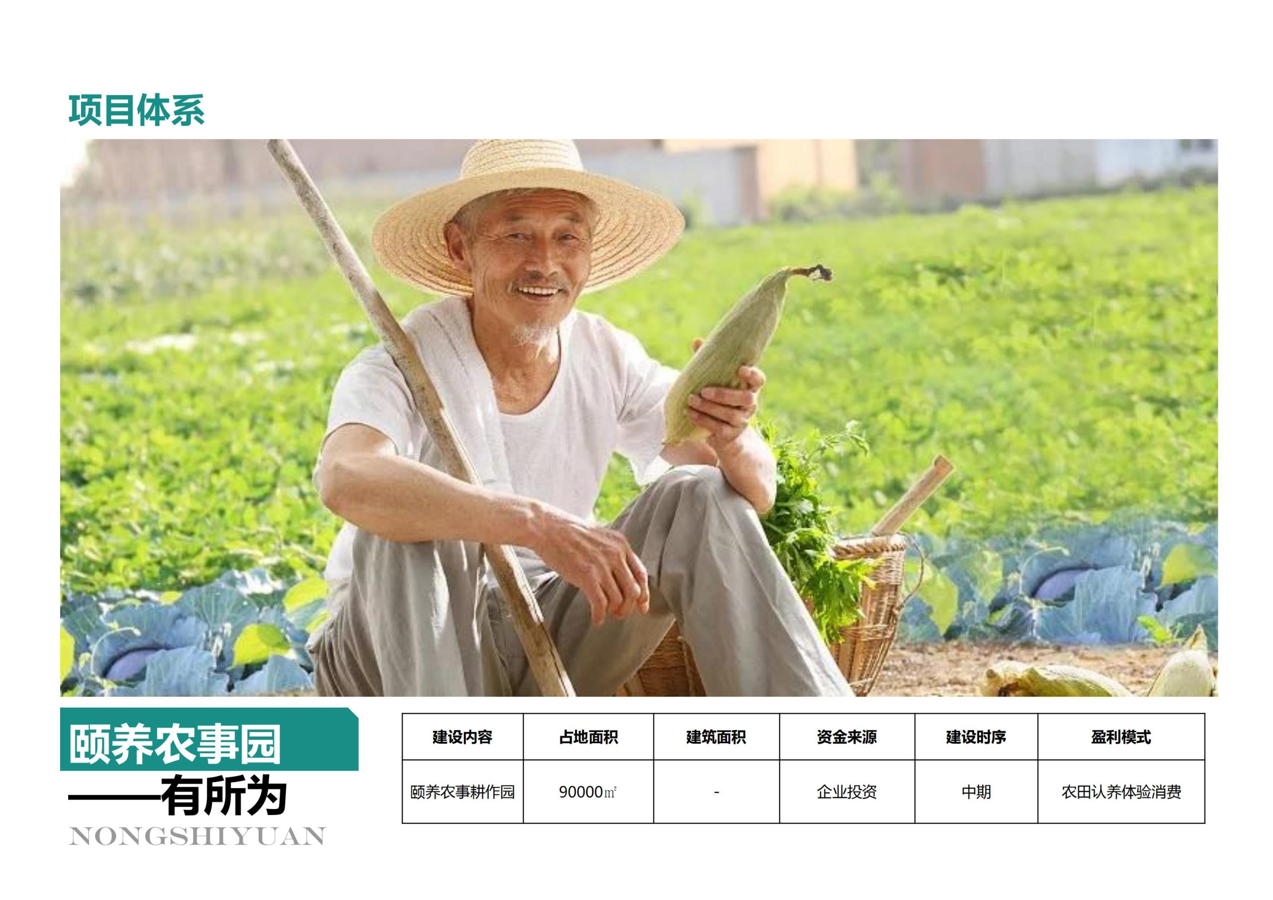 图片[80]-【重庆】铜梁家泽田园项目策划及核心区概念性规划 - 由甫网-由甫网