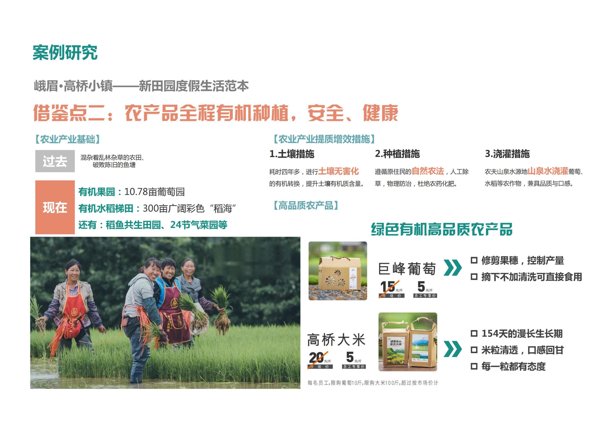 图片[7]-【重庆】铜梁家泽田园项目策划及核心区概念性规划 - 由甫网-由甫网