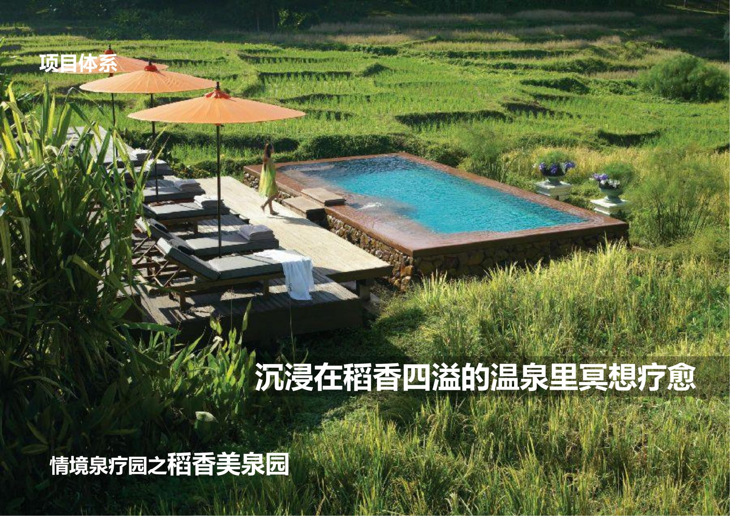 图片[61]-【重庆】铜梁家泽田园项目策划及核心区概念性规划 - 由甫网-由甫网