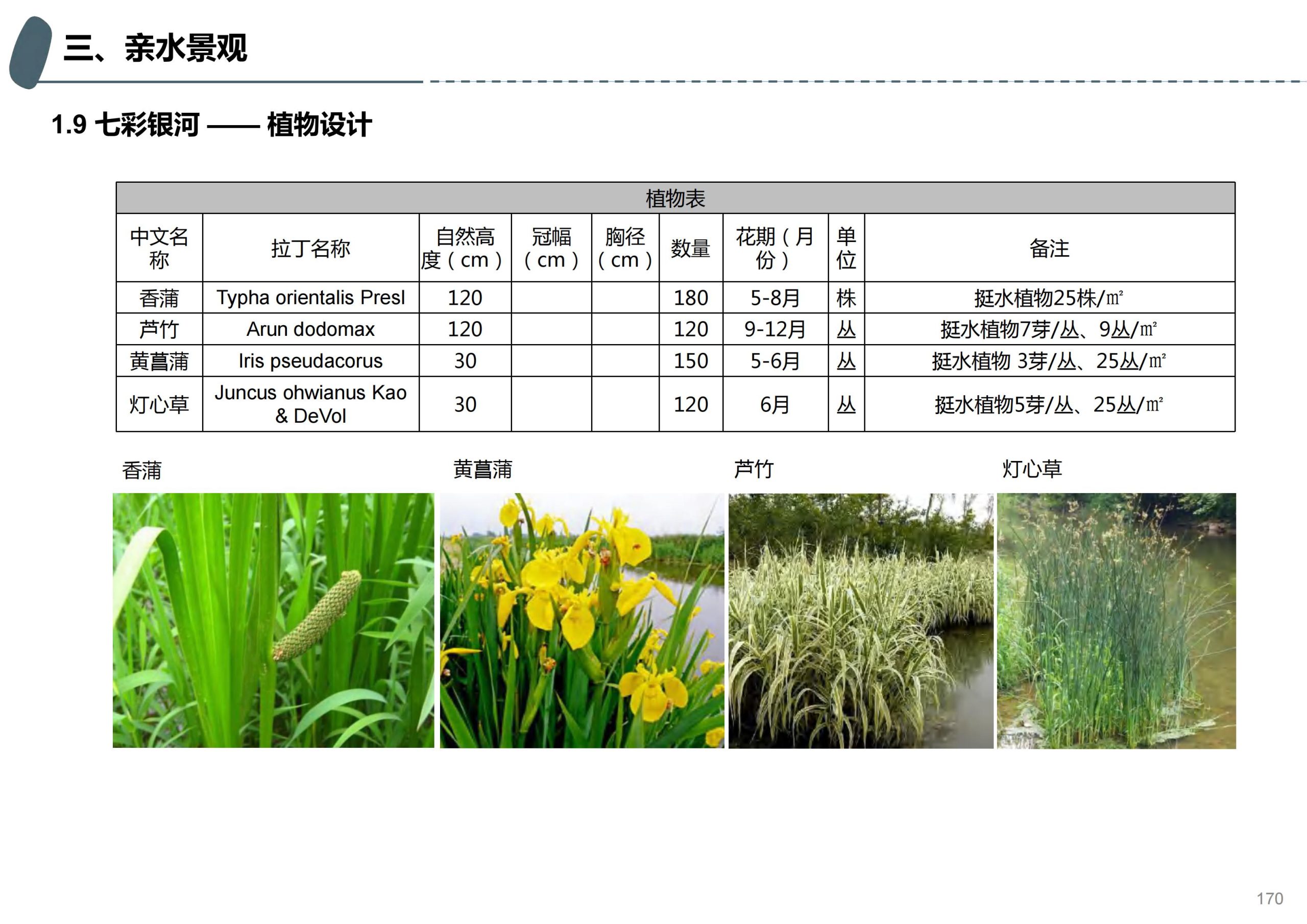 图片[120]-成都天府亲子田园综合体项目深化方案 - 由甫网-由甫网