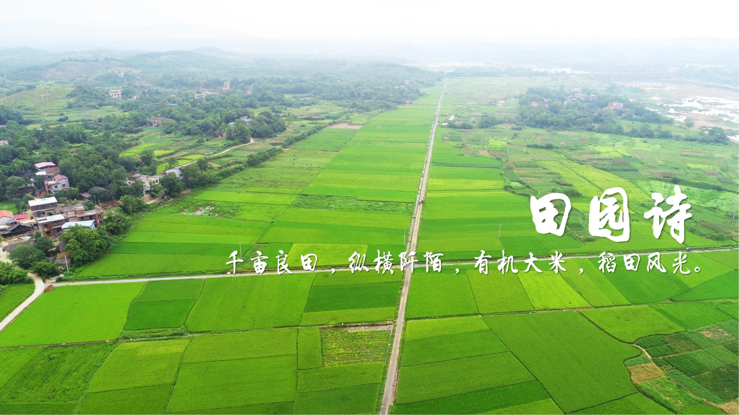 图片[34]-永州湘江湾田园综合体概念规划沟通方案 - 由甫网-由甫网