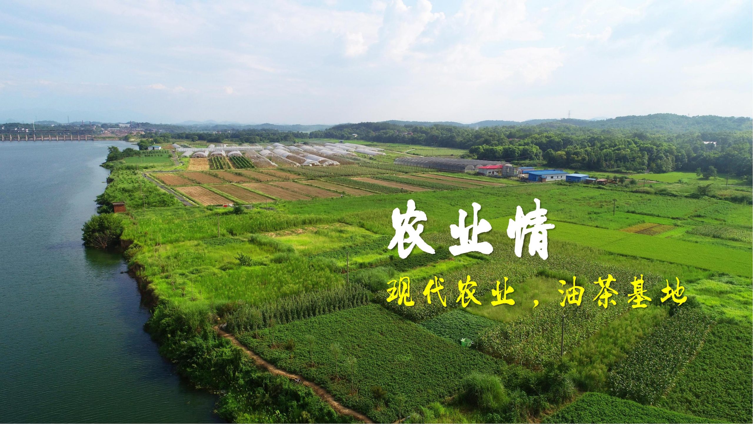 图片[35]-永州湘江湾田园综合体概念规划沟通方案 - 由甫网-由甫网