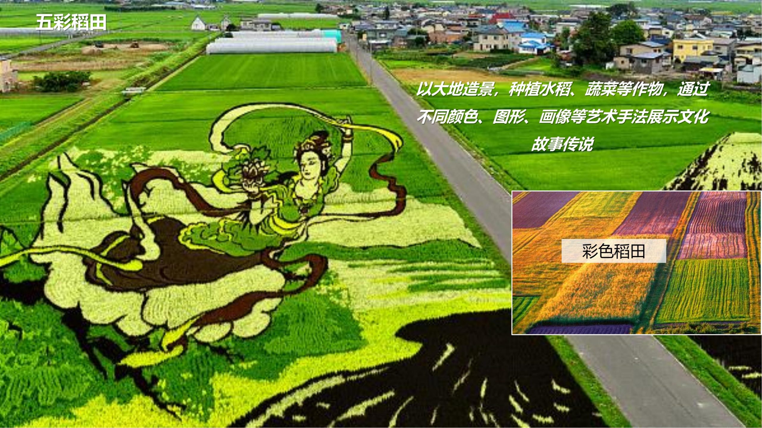 图片[48]-永州湘江湾田园综合体概念规划沟通方案 - 由甫网-由甫网