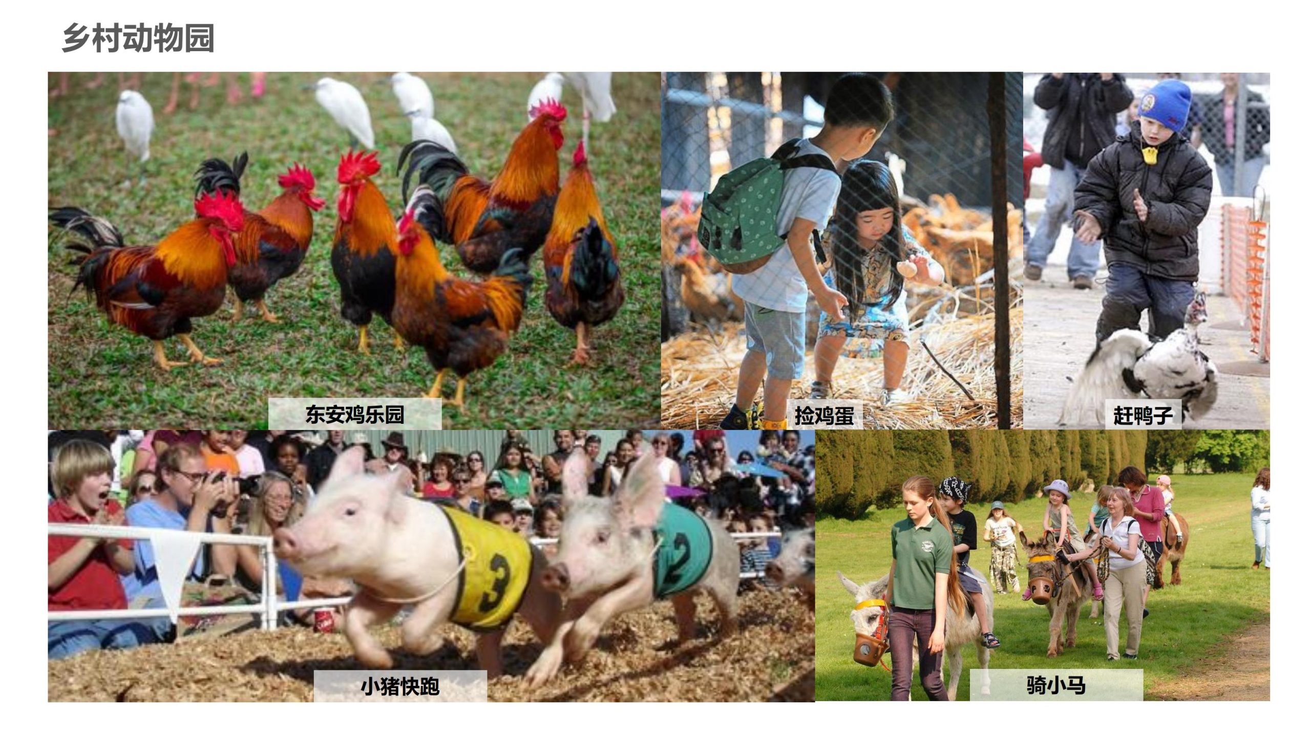 图片[55]-永州湘江湾田园综合体概念规划沟通方案 - 由甫网-由甫网