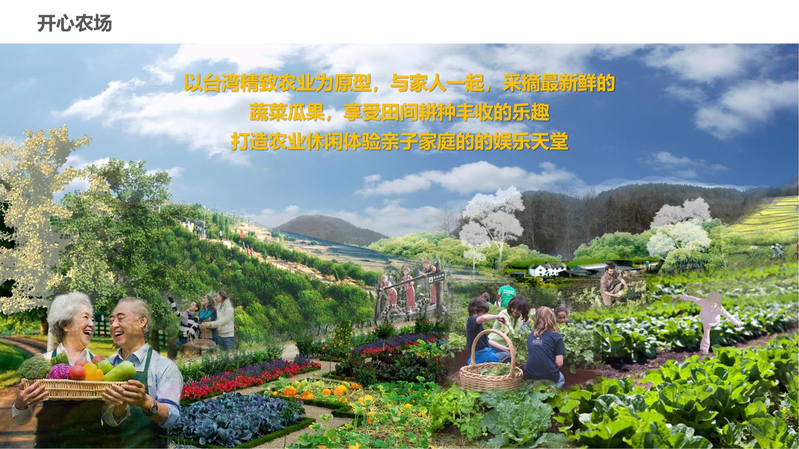 图片[56]-永州湘江湾田园综合体概念规划沟通方案 - 由甫网-由甫网