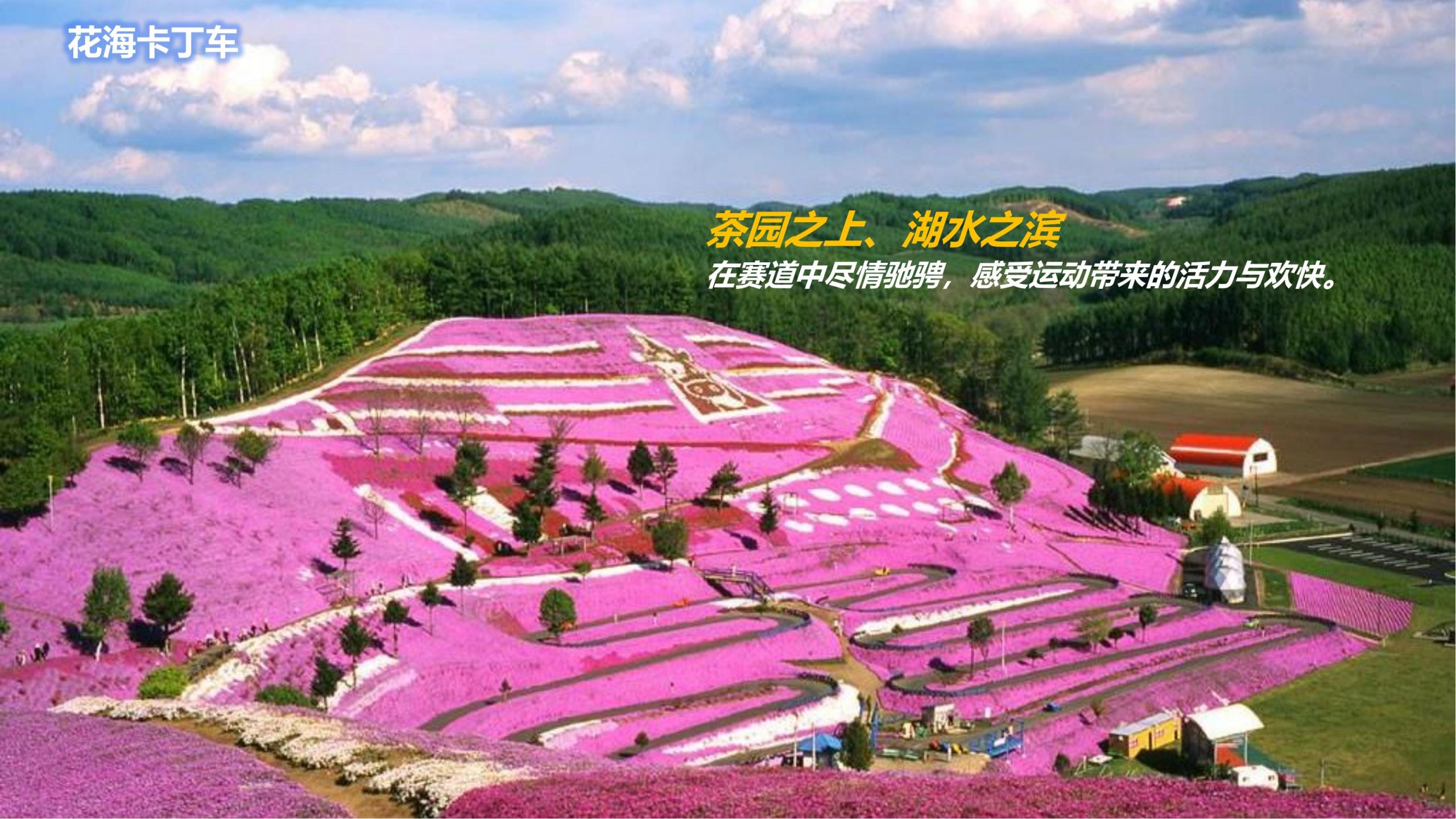 图片[57]-永州湘江湾田园综合体概念规划沟通方案 - 由甫网-由甫网