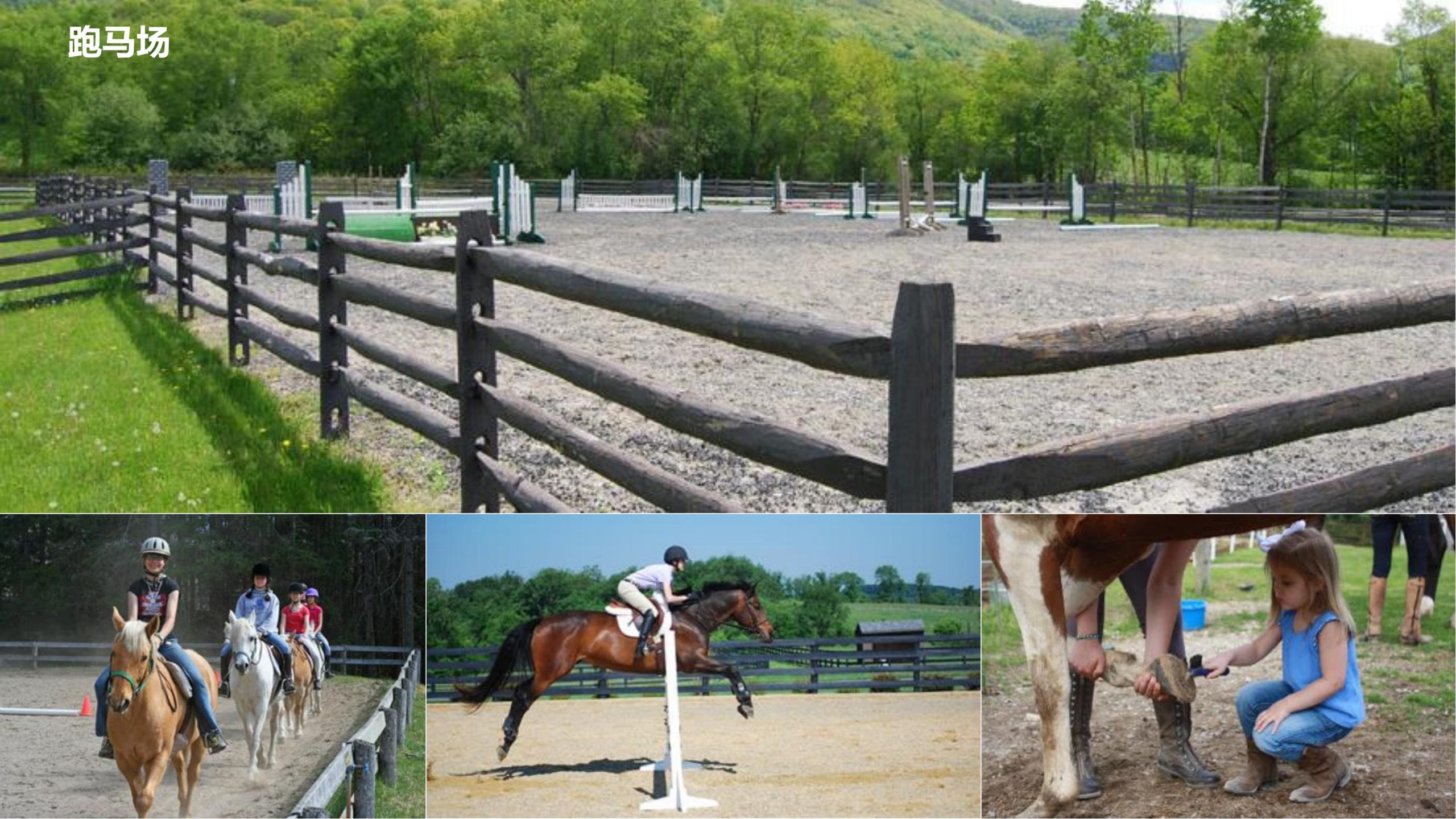 图片[67]-永州湘江湾田园综合体概念规划沟通方案 - 由甫网-由甫网