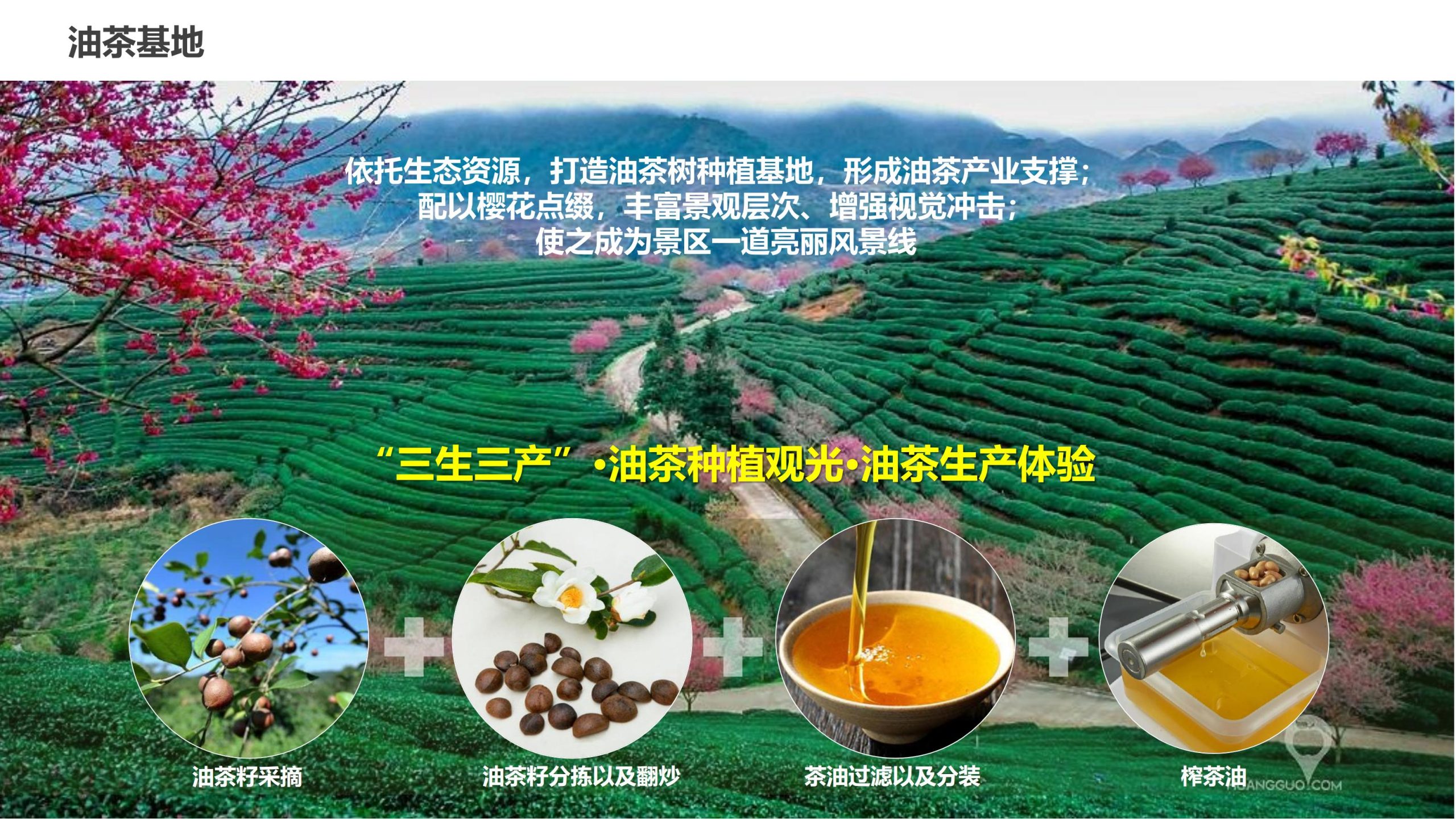 图片[71]-永州湘江湾田园综合体概念规划沟通方案 - 由甫网-由甫网