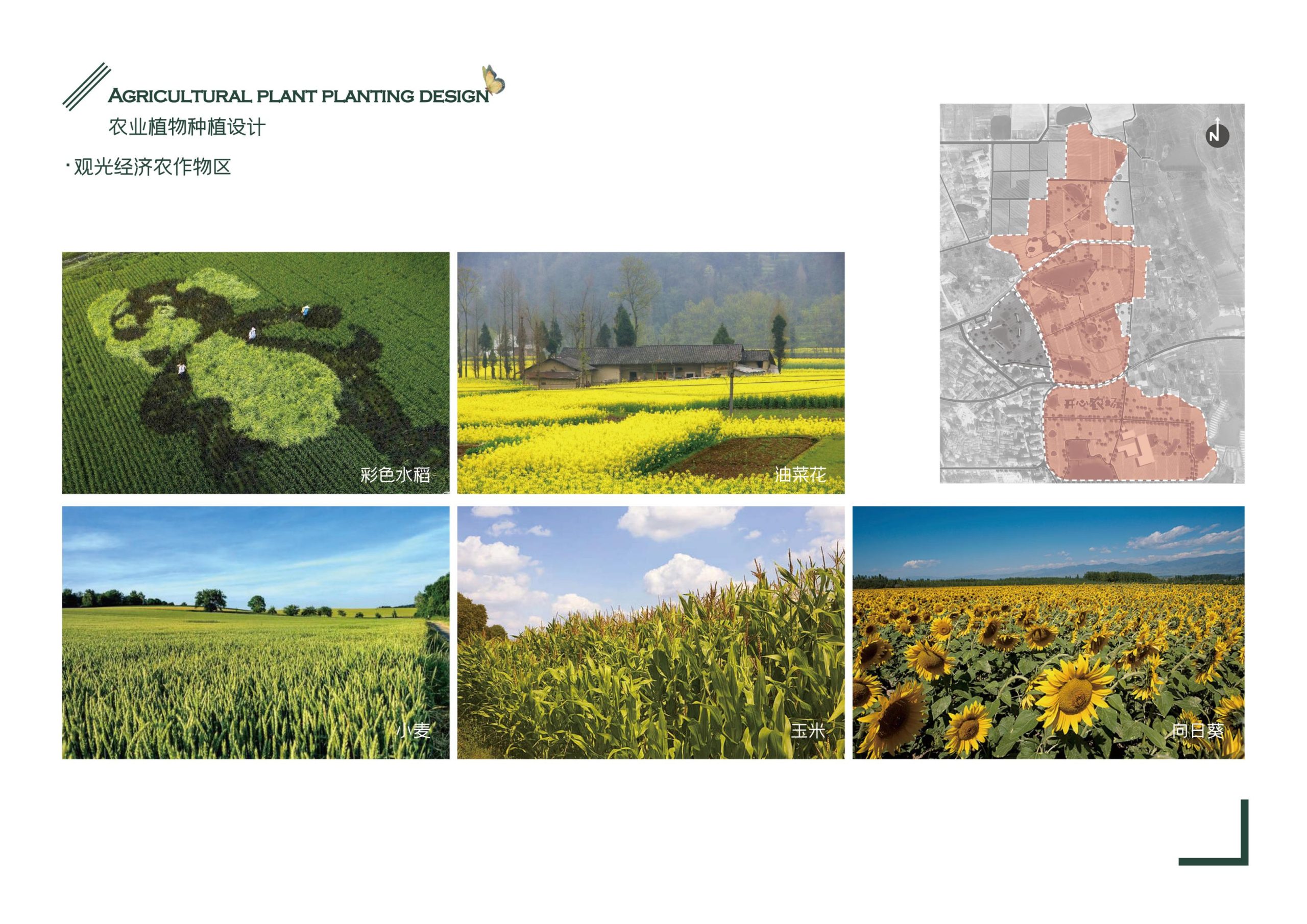 图片[62]-义乌市福田街道美丽田园建设项目方案 - 由甫网-由甫网