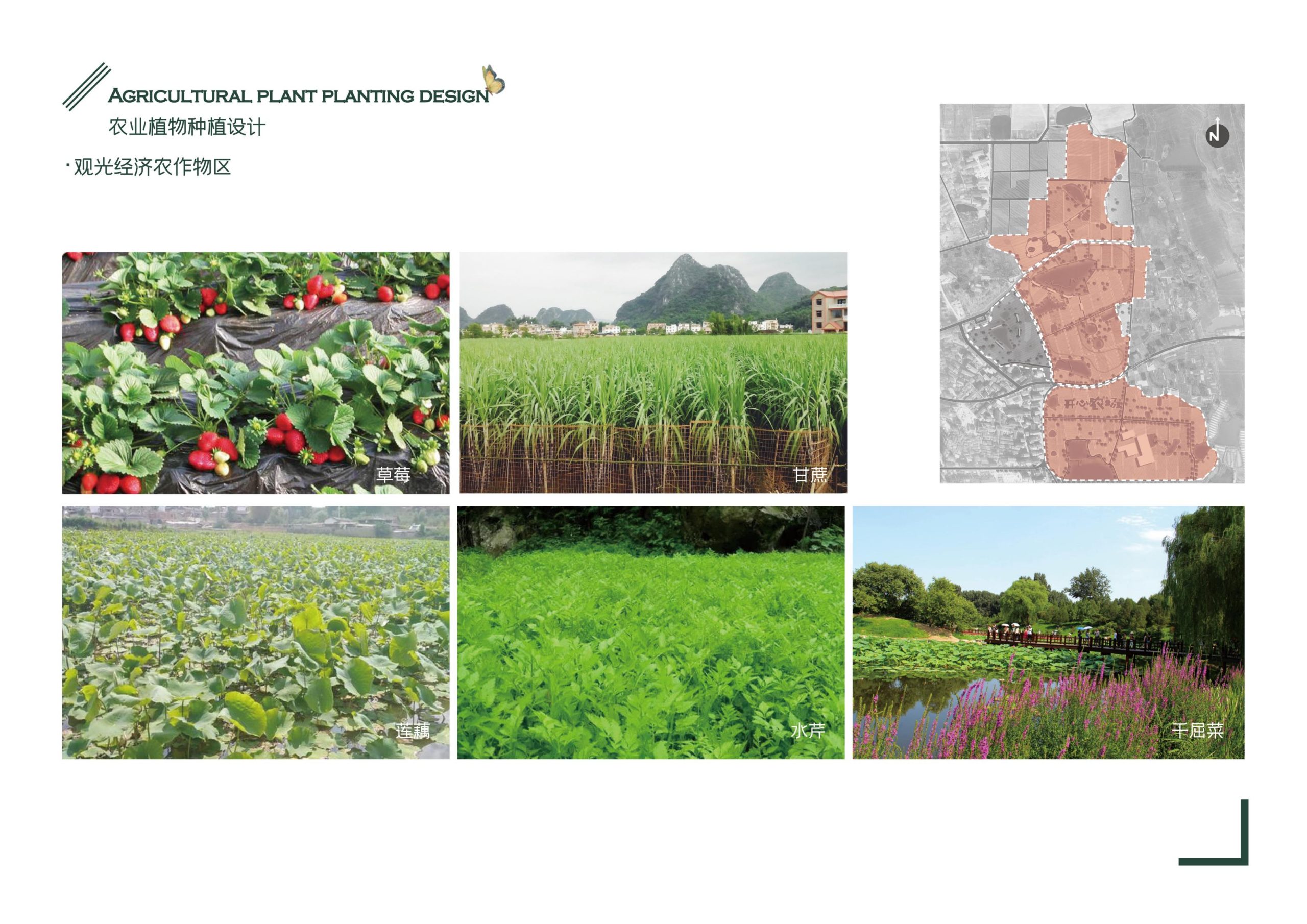 图片[63]-义乌市福田街道美丽田园建设项目方案 - 由甫网-由甫网