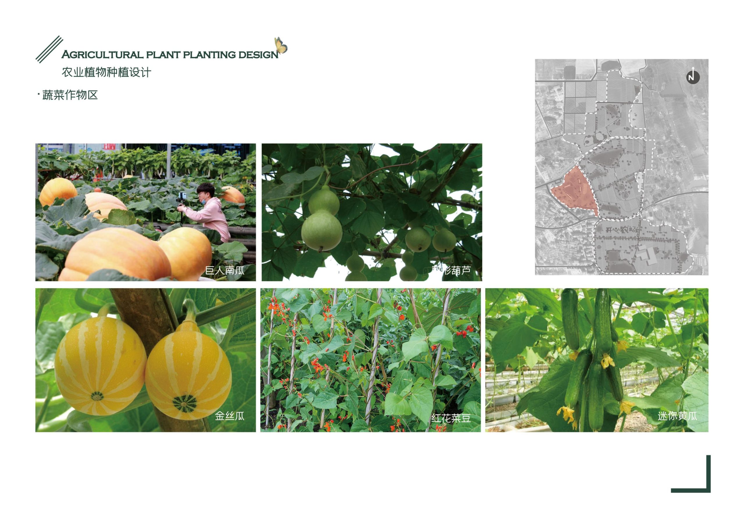 图片[64]-义乌市福田街道美丽田园建设项目方案 - 由甫网-由甫网