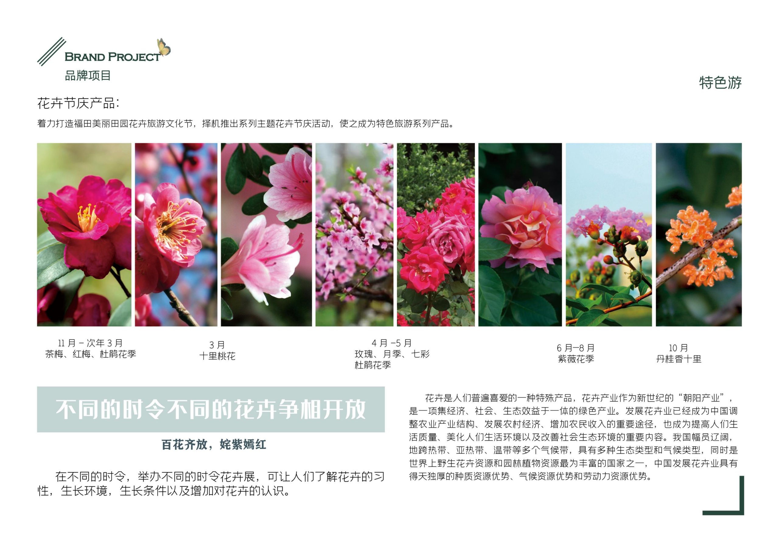 图片[70]-义乌市福田街道美丽田园建设项目方案 - 由甫网-由甫网