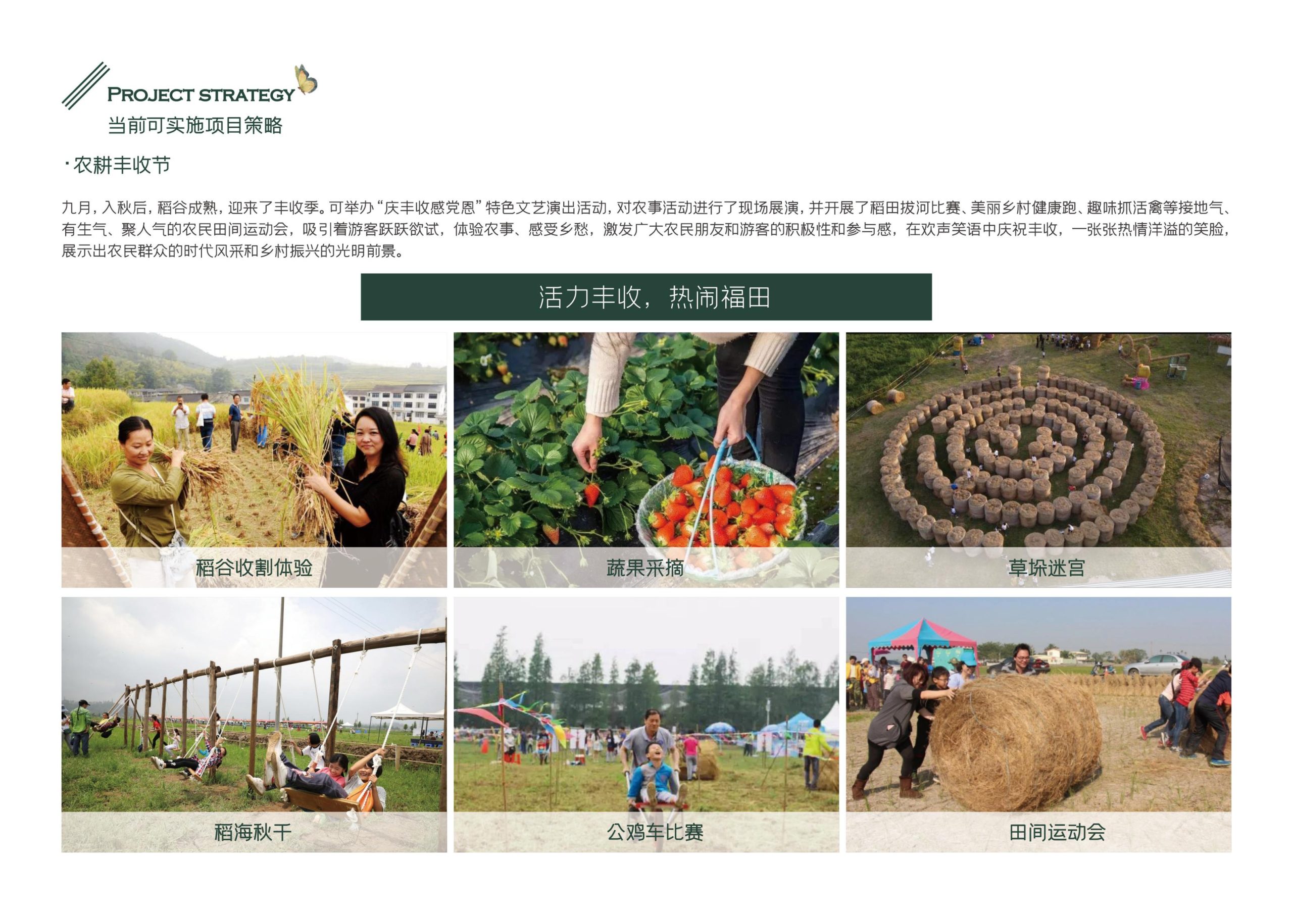 图片[27]-义乌市福田街道美丽田园建设项目方案 - 由甫网-由甫网