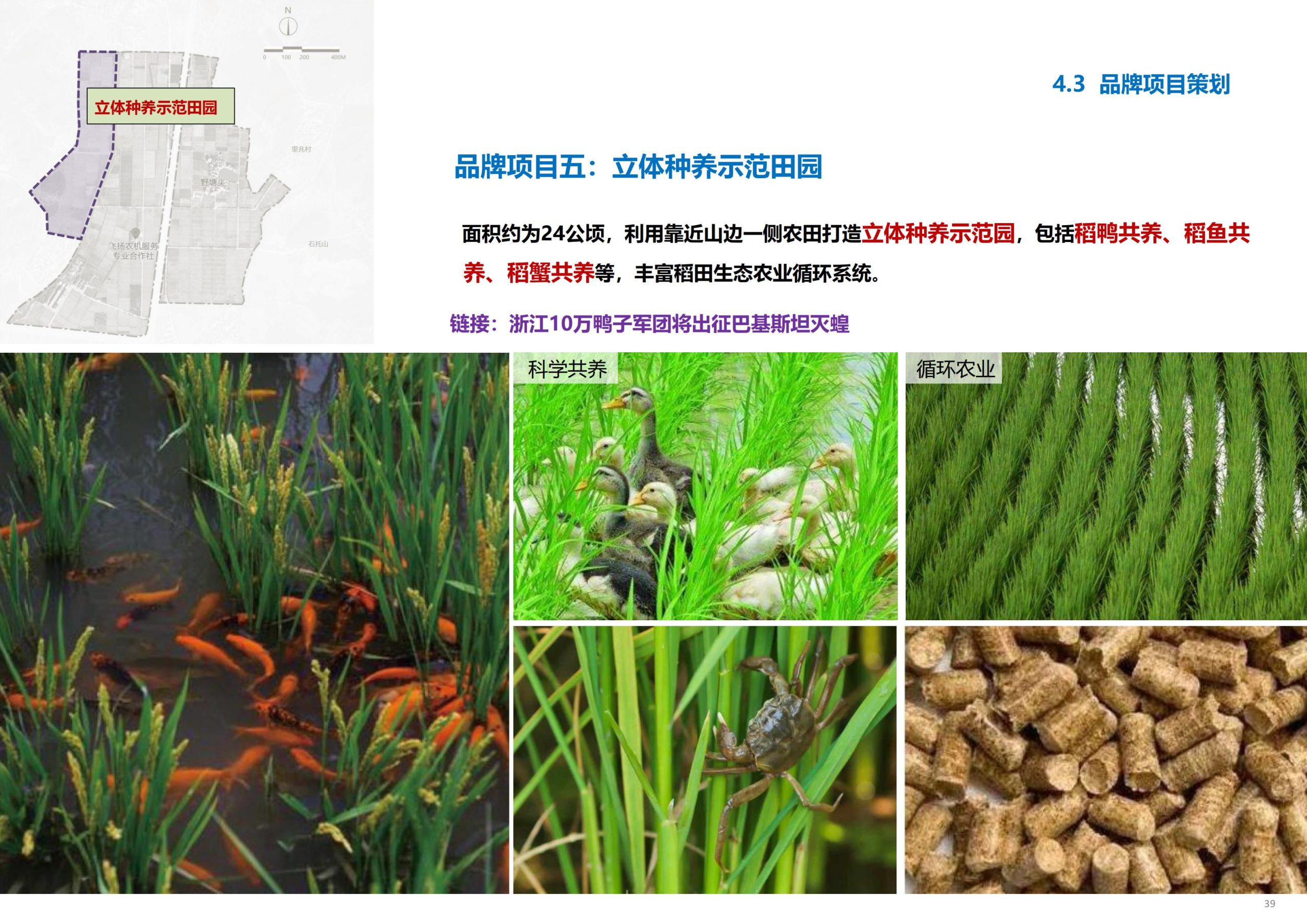 图片[40]-义乌市廿三里飞扬农机美丽田园项目规划 - 爱思迪-爱思迪