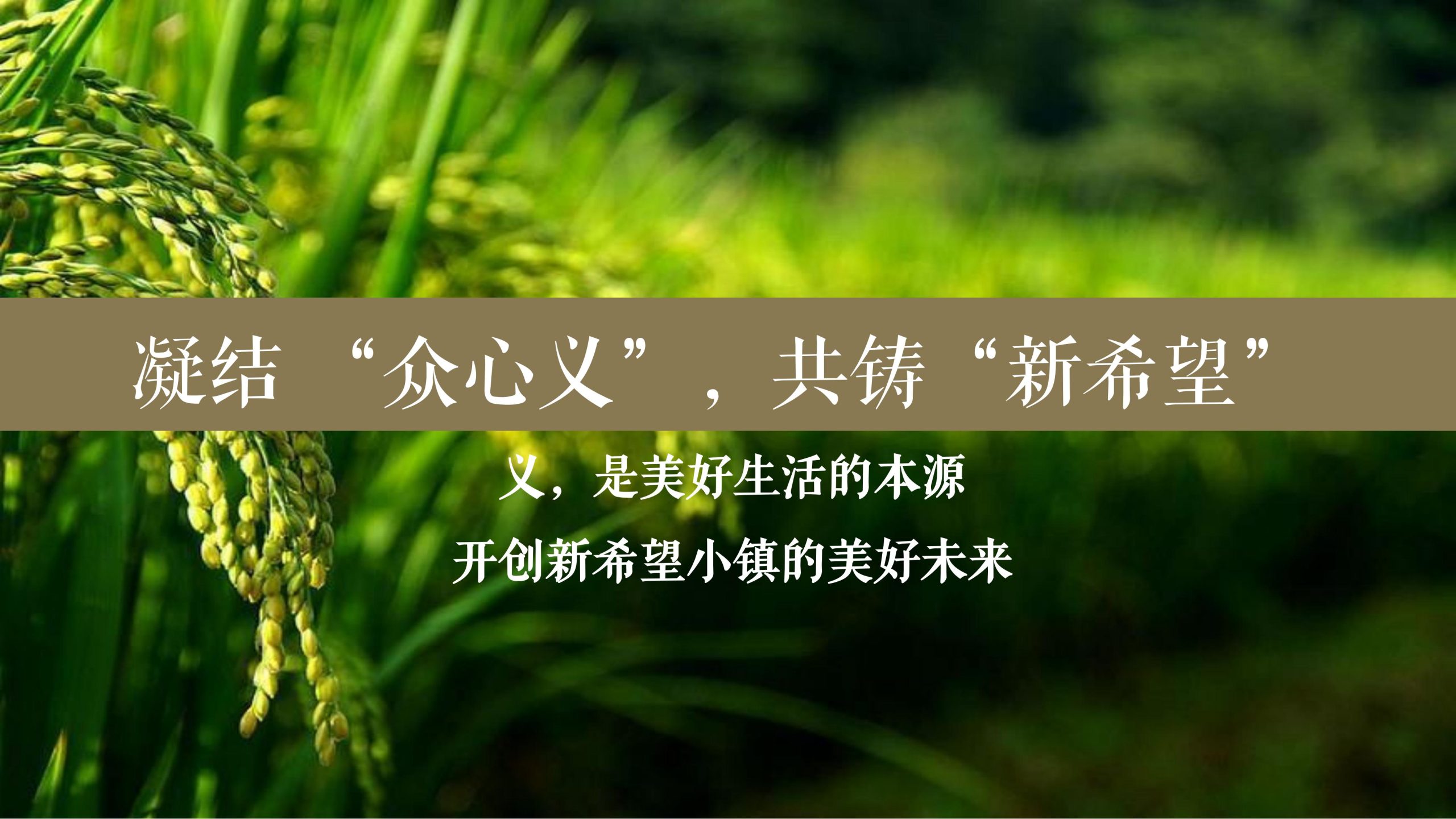 图片[202]-浙江宁波新希望田园康养小镇旅游总体策划及概念性规划 - 爱思迪-爱思迪