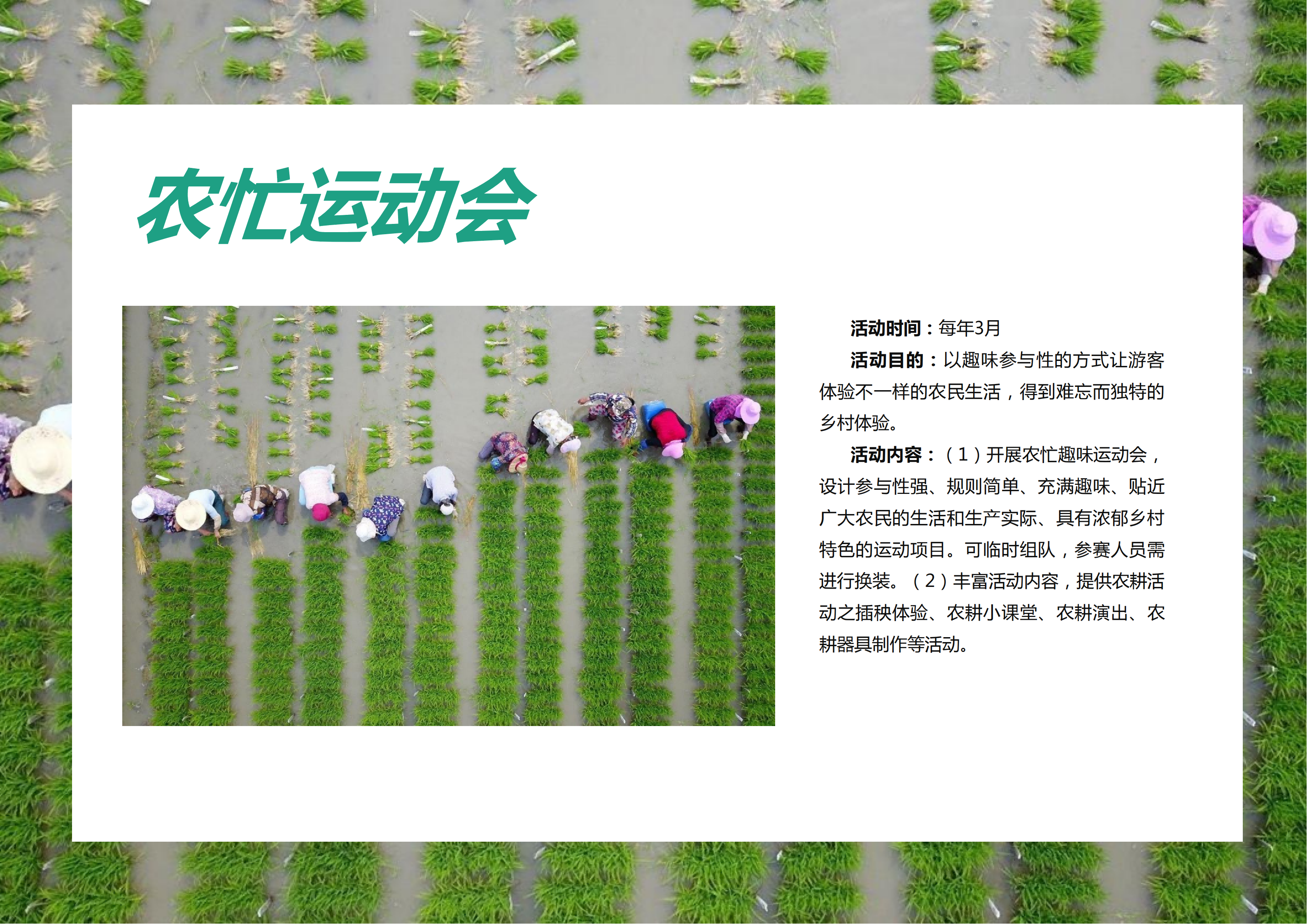 图片[97]-【广东】云浮市茶榕村度假农场旅游总体规划 - 爱思迪-爱思迪