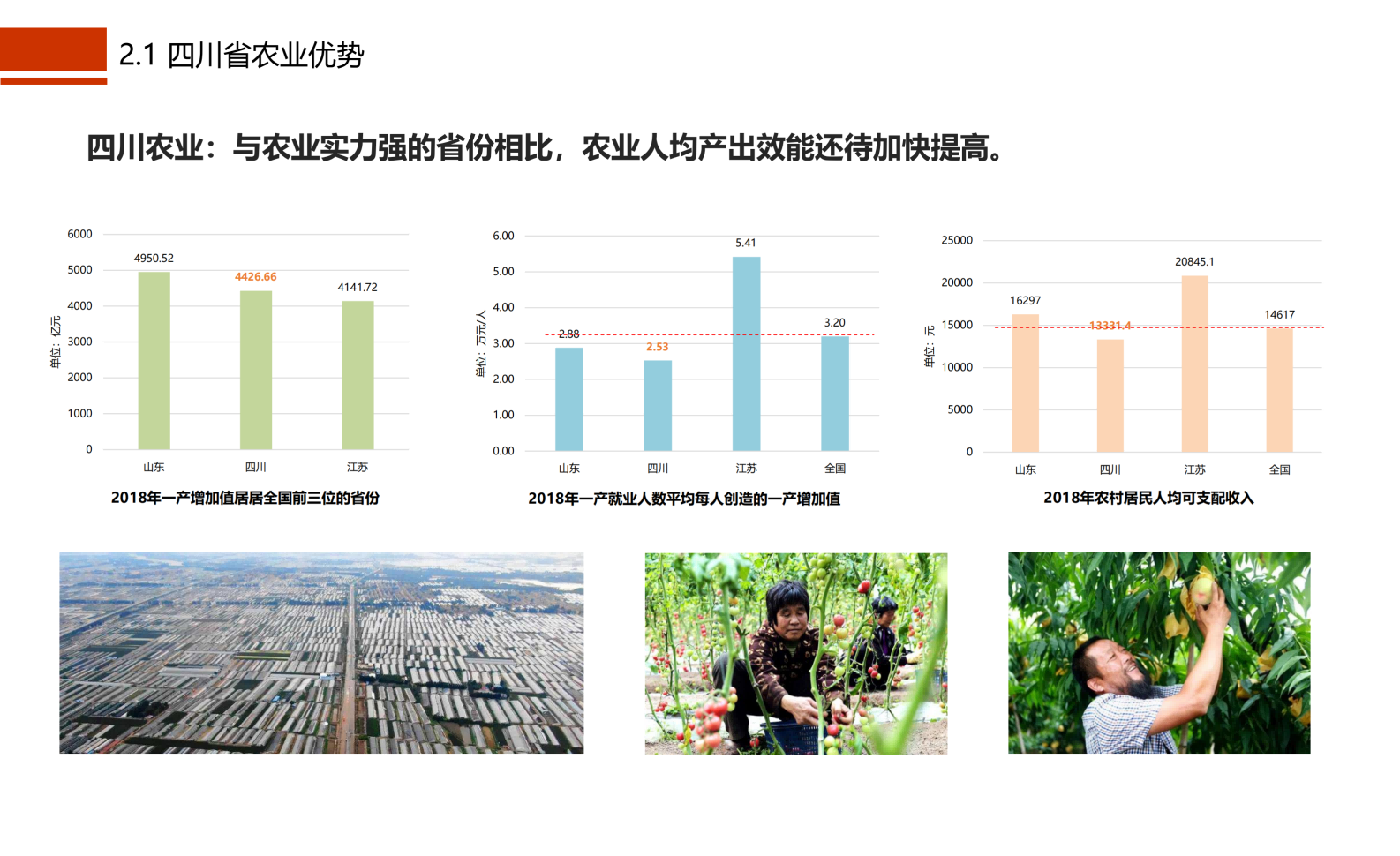 图片[11]-成都市川菜小镇田园综合体农业农文旅概念性规划设计 - 由甫网-由甫网