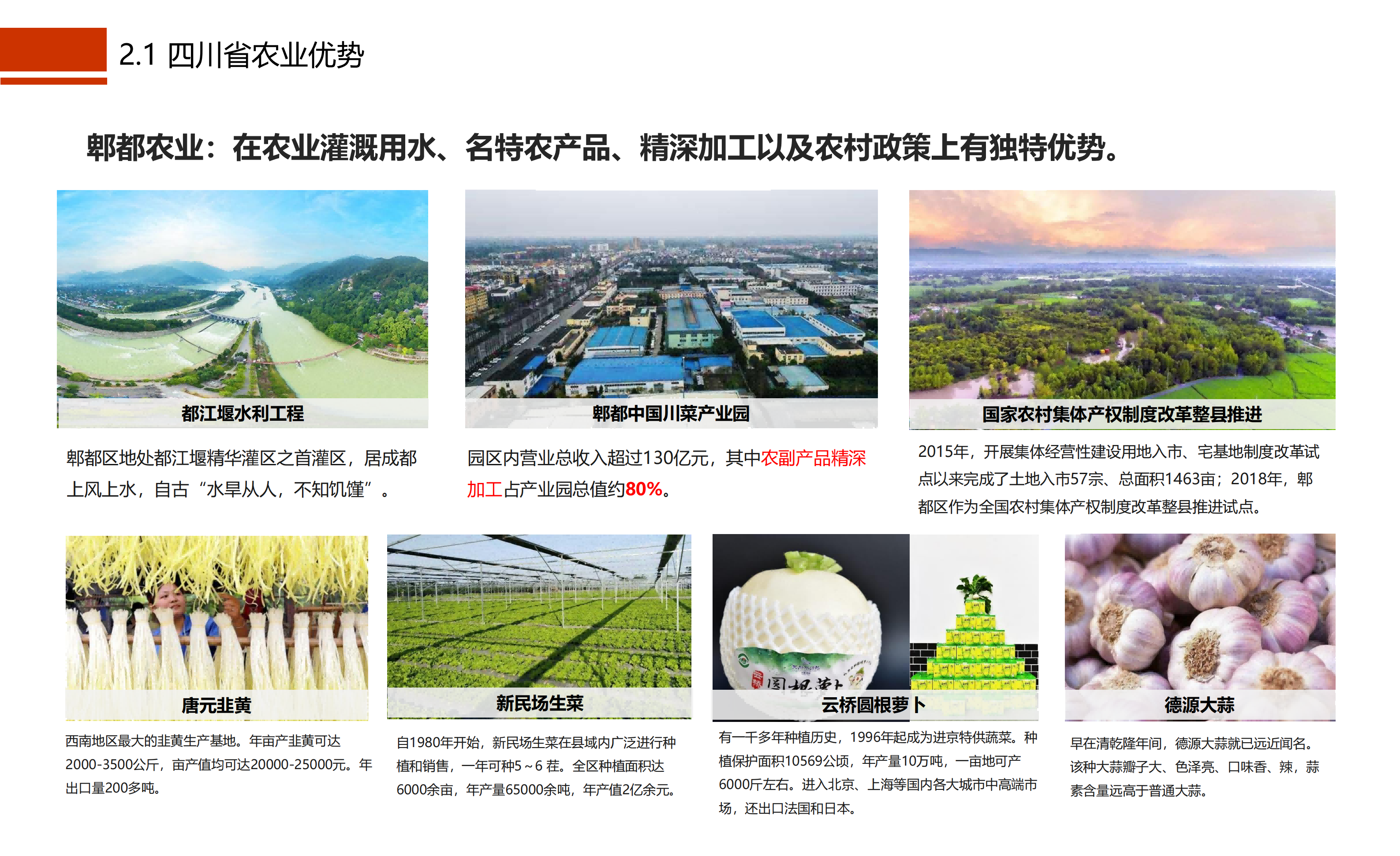 图片[14]-成都市川菜小镇田园综合体农业农文旅概念性规划设计 - 由甫网-由甫网