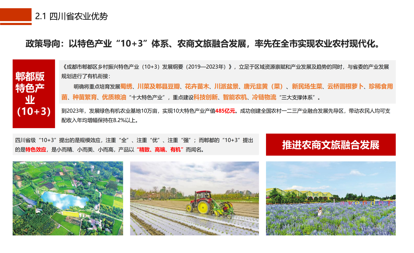 图片[15]-成都市川菜小镇田园综合体农业农文旅概念性规划设计 - 由甫网-由甫网