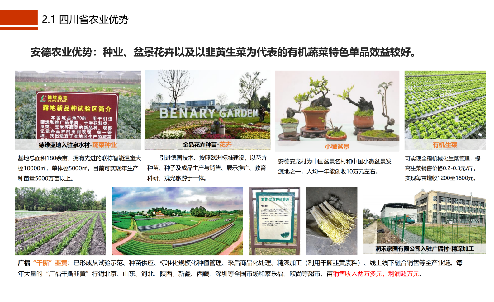 图片[16]-成都市川菜小镇田园综合体农业农文旅概念性规划设计 - 由甫网-由甫网