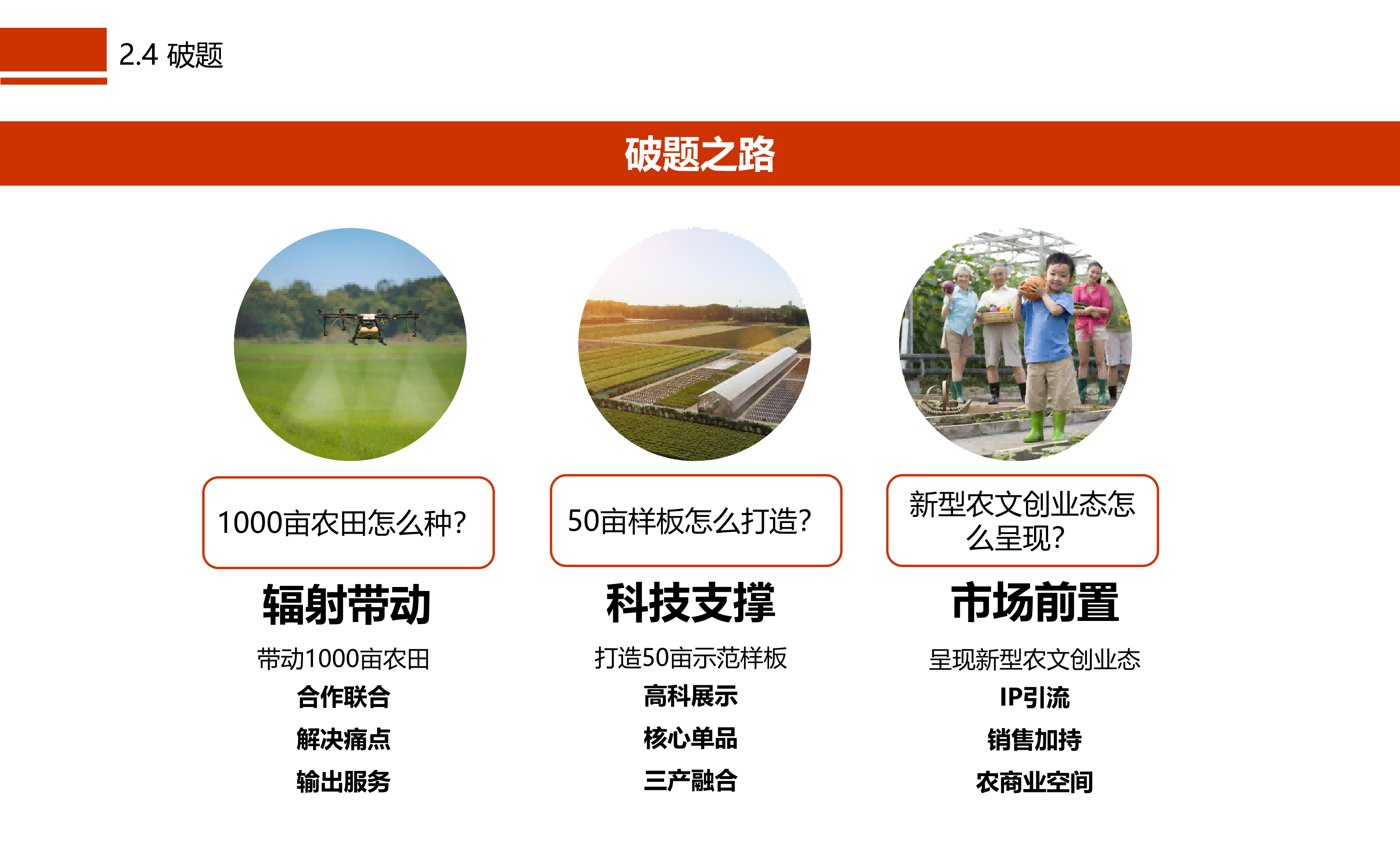 图片[21]-成都市川菜小镇田园综合体农业农文旅概念性规划设计 - 由甫网-由甫网