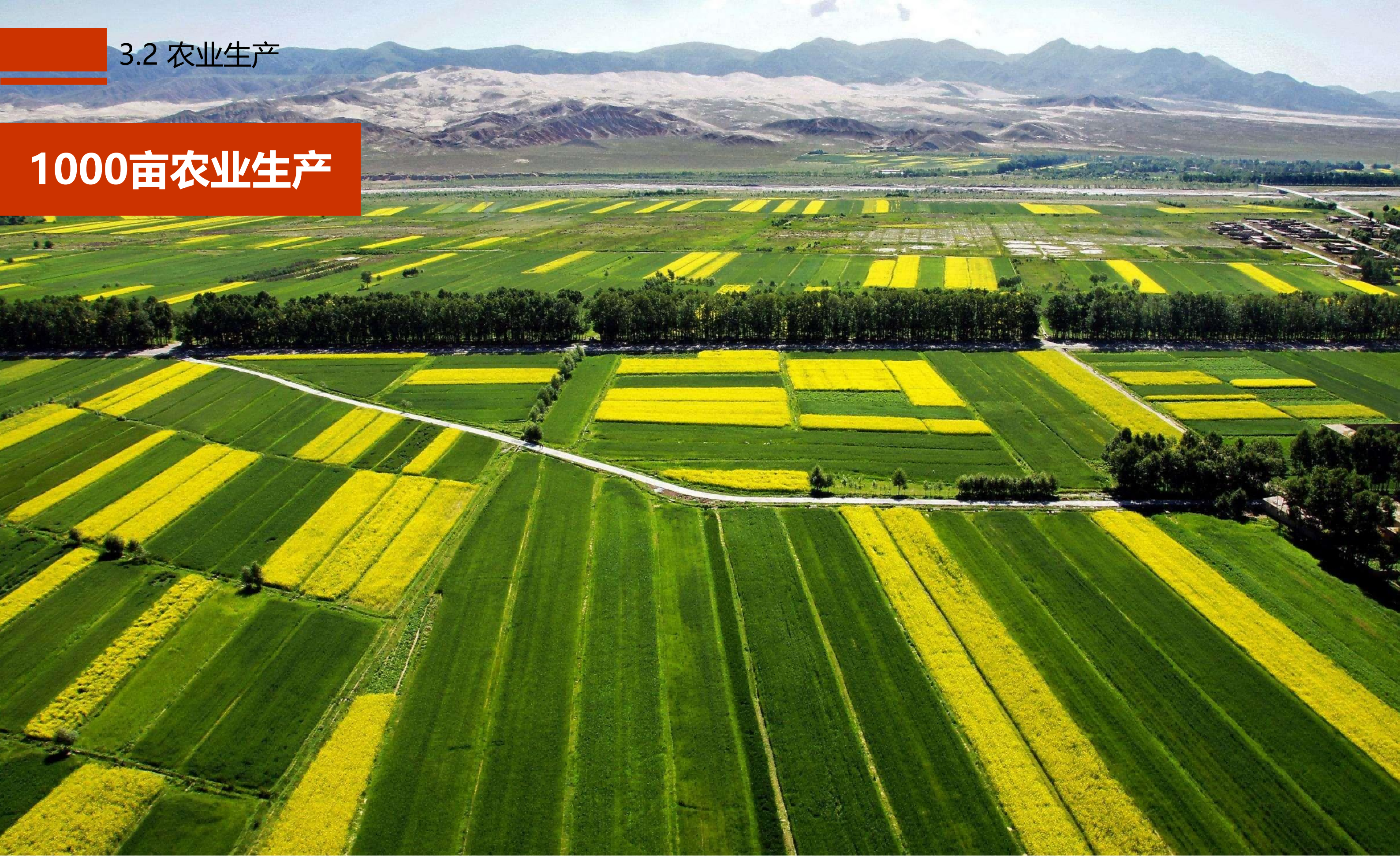 图片[25]-成都市川菜小镇田园综合体农业农文旅概念性规划设计 - 由甫网-由甫网