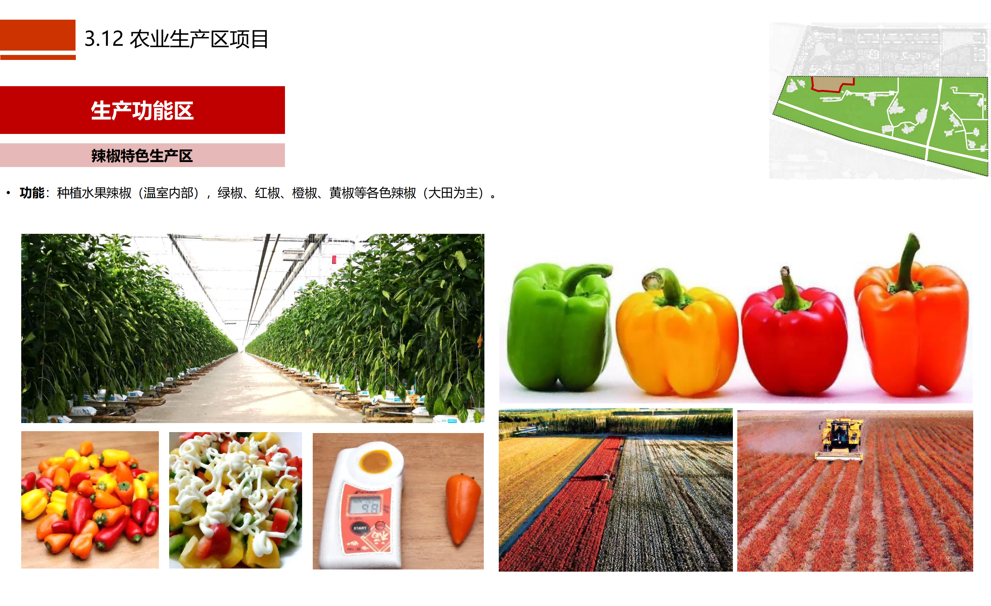 图片[40]-成都市川菜小镇田园综合体农业农文旅概念性规划设计 - 由甫网-由甫网