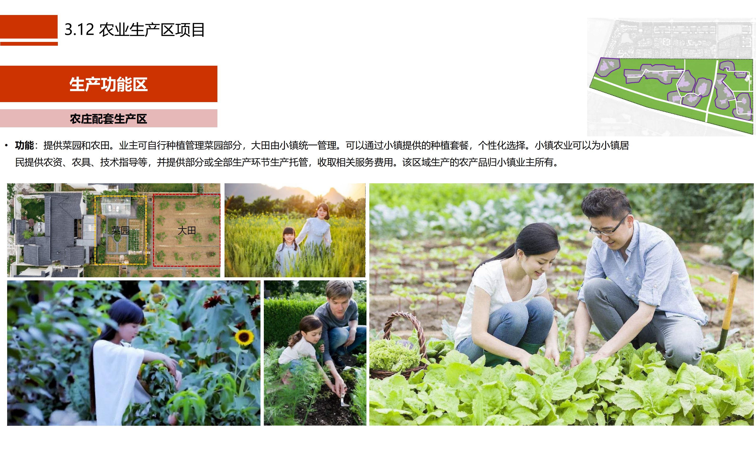 图片[42]-成都市川菜小镇田园综合体农业农文旅概念性规划设计 - 由甫网-由甫网