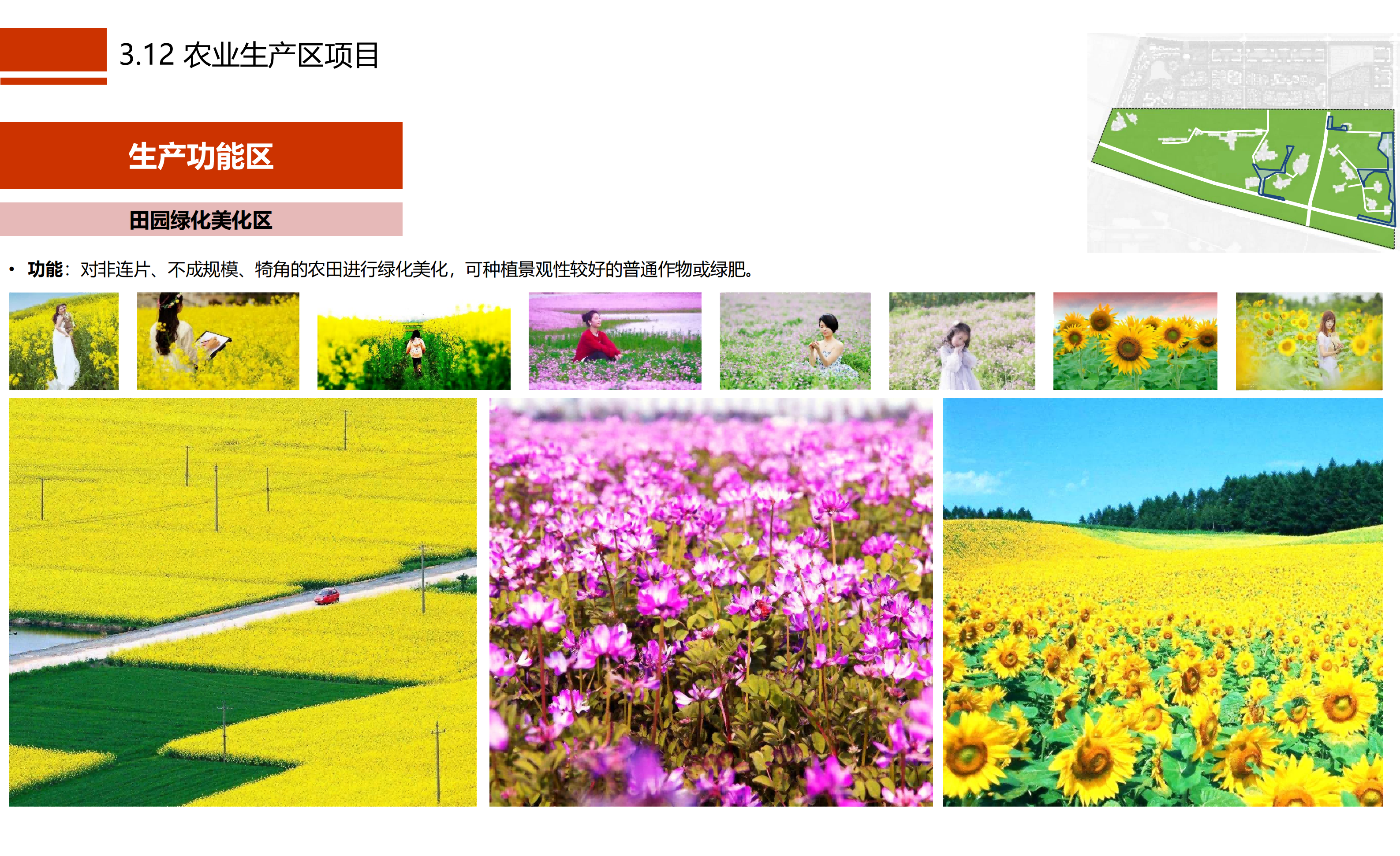 图片[43]-成都市川菜小镇田园综合体农业农文旅概念性规划设计 - 由甫网-由甫网